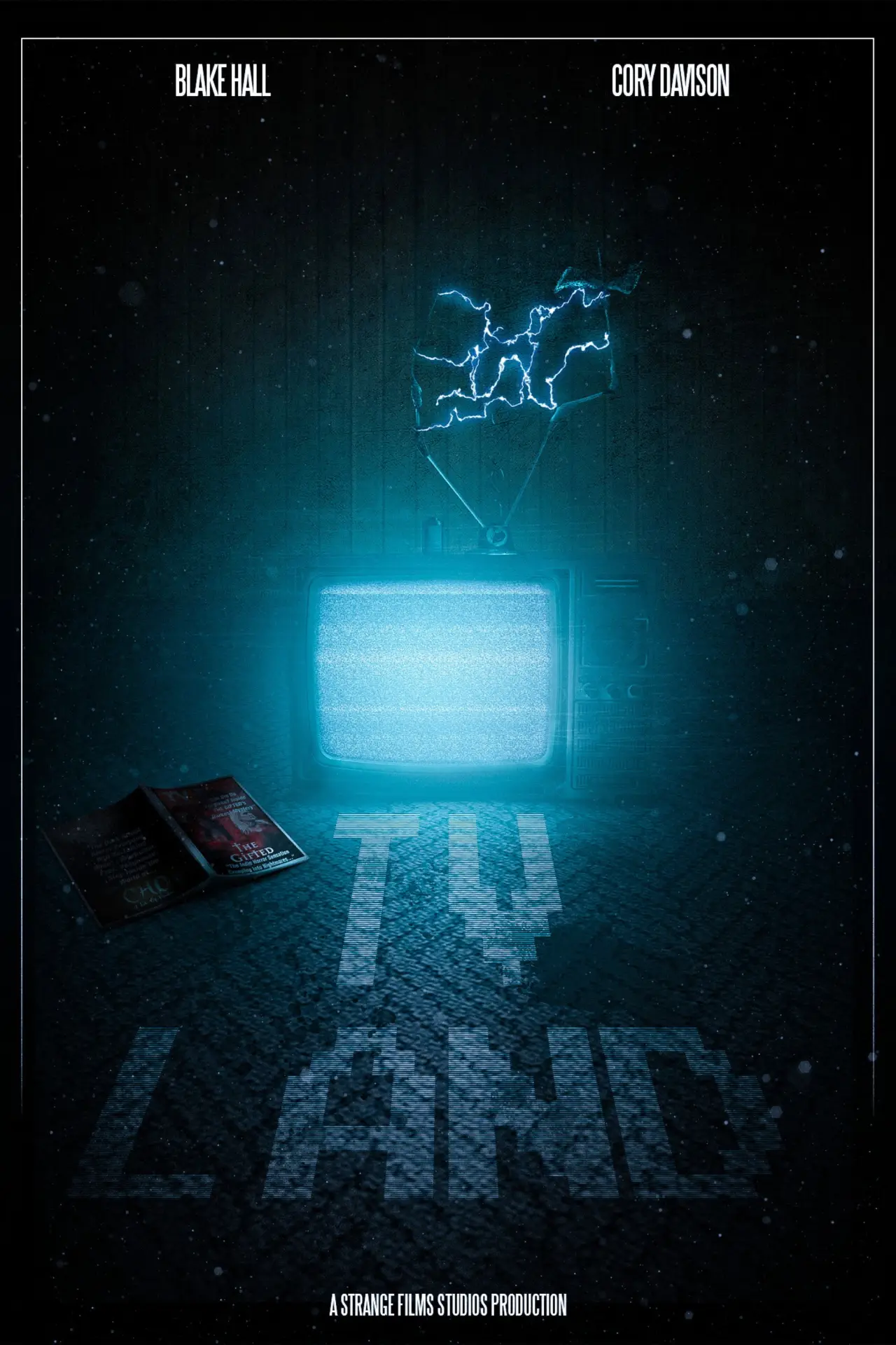 Plakat filmowy "TV Land"