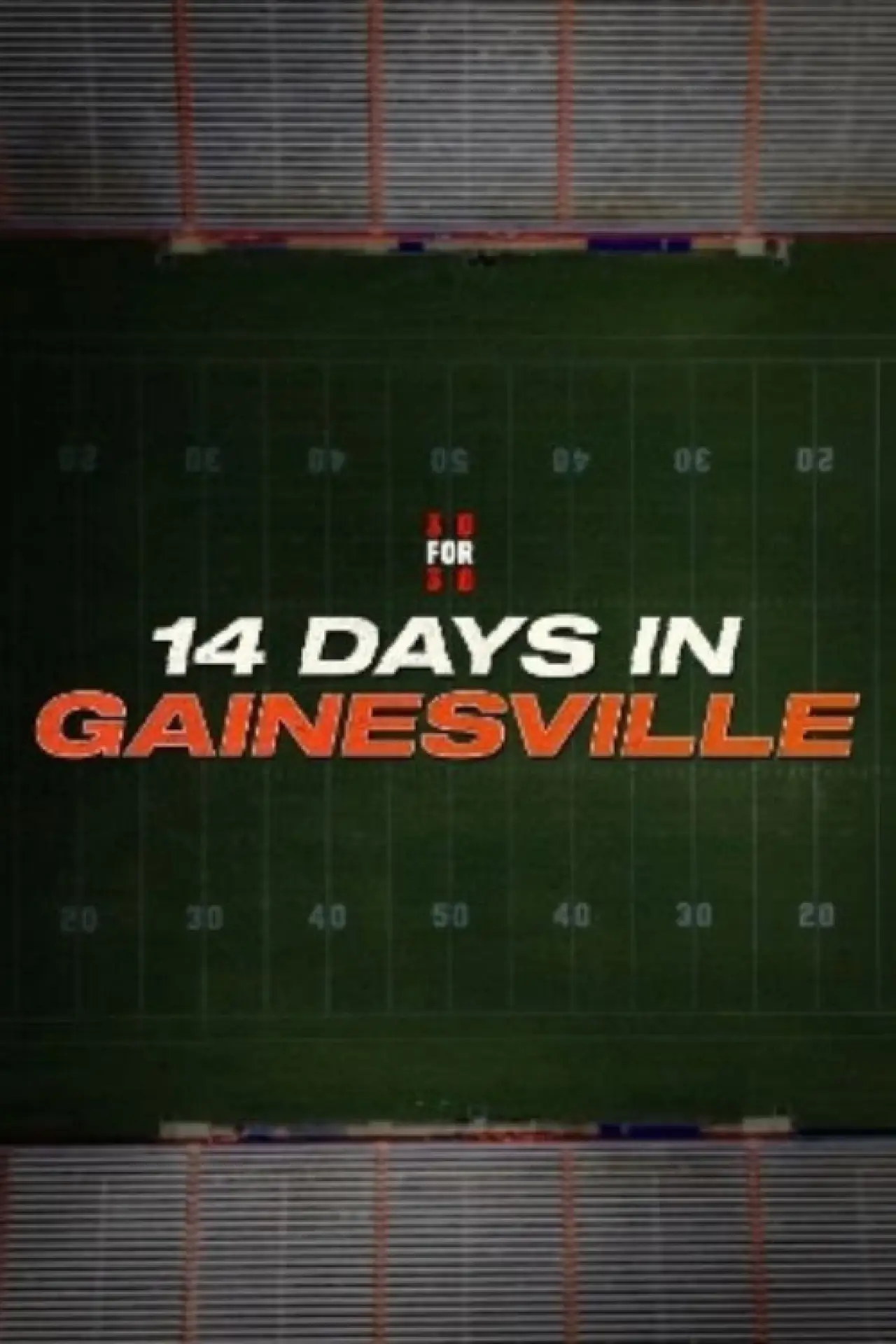 Plakat filmowy "14 Days in Gainesville"