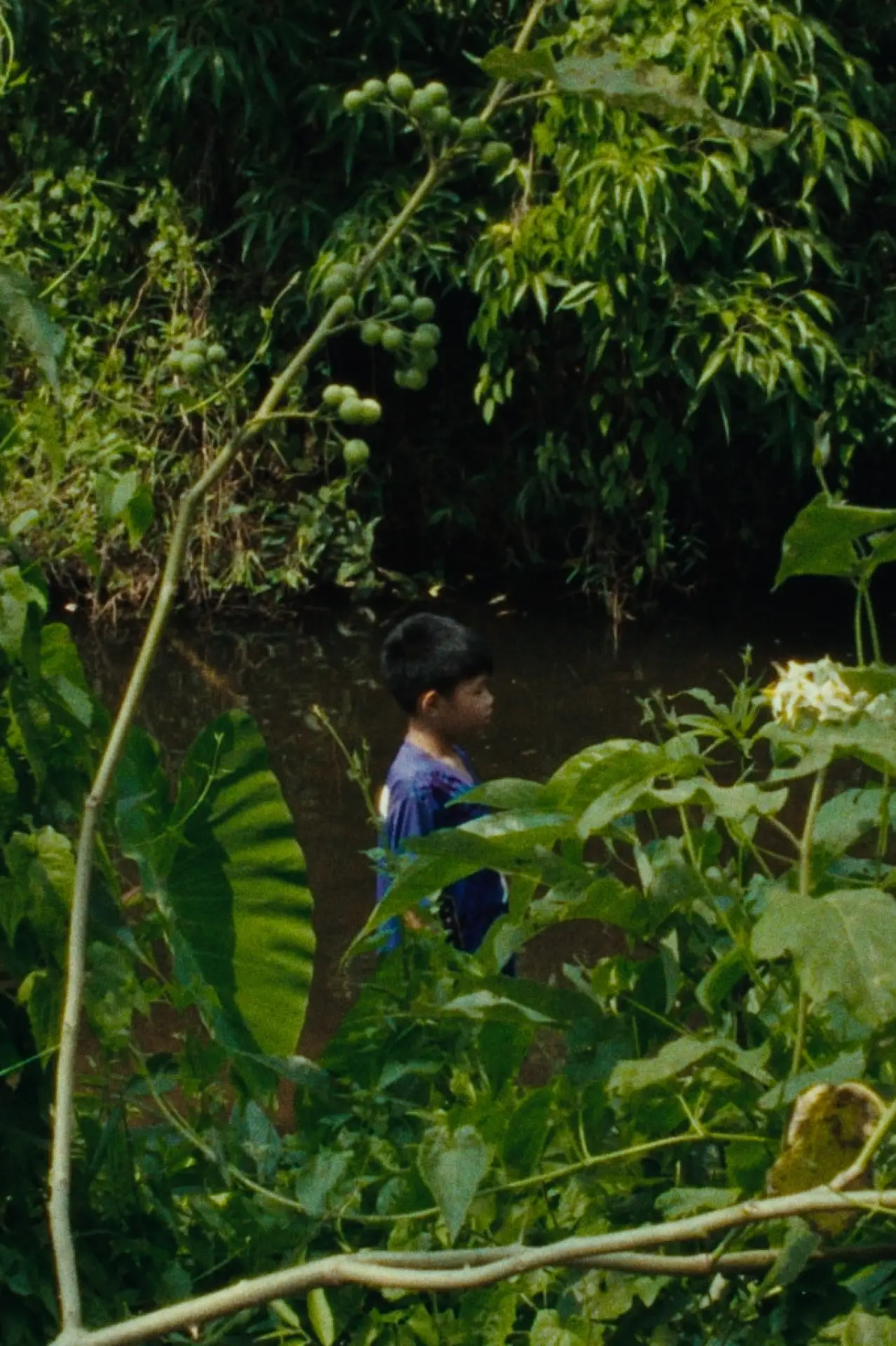 Plakat filmowy "Blister on the Boy’s Body"