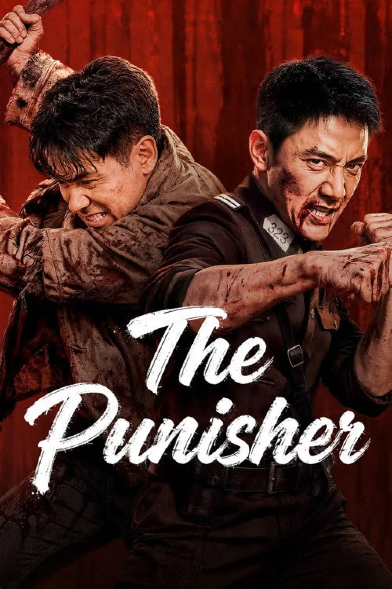 Plakat filmowy "惩罚者"