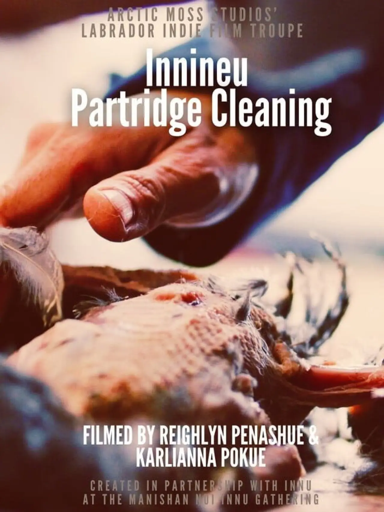 Plakat filmowy "Preparing Innineu: Partridge Cleaning in Sheshatshiu"