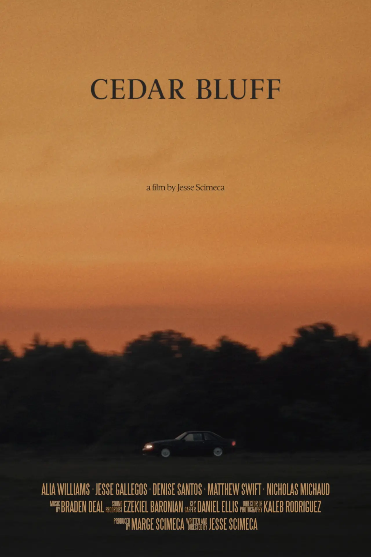 Plakat filmowy "Cedar Bluff"