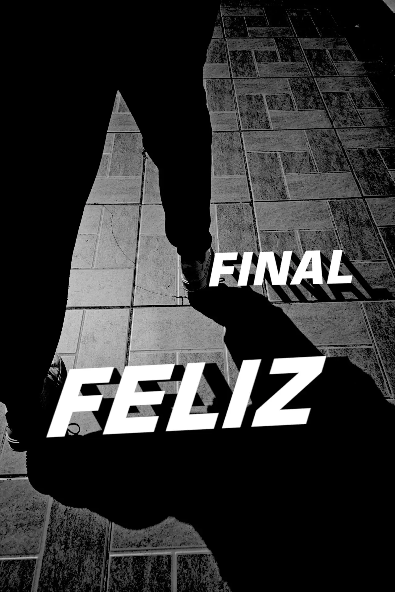 Plakat filmowy "FINAL FELIZ"
