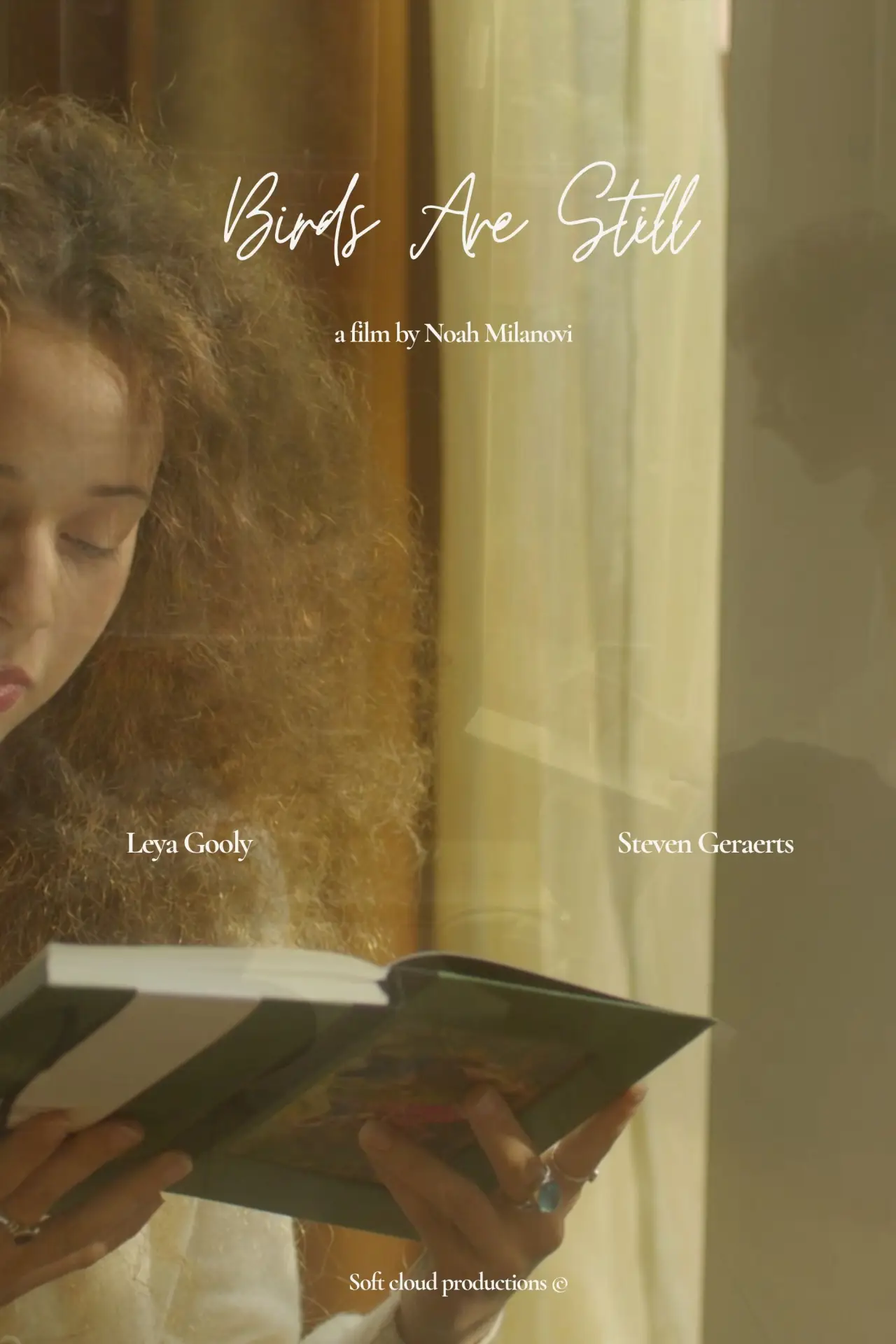 Plakat filmowy "Birds Are Still"