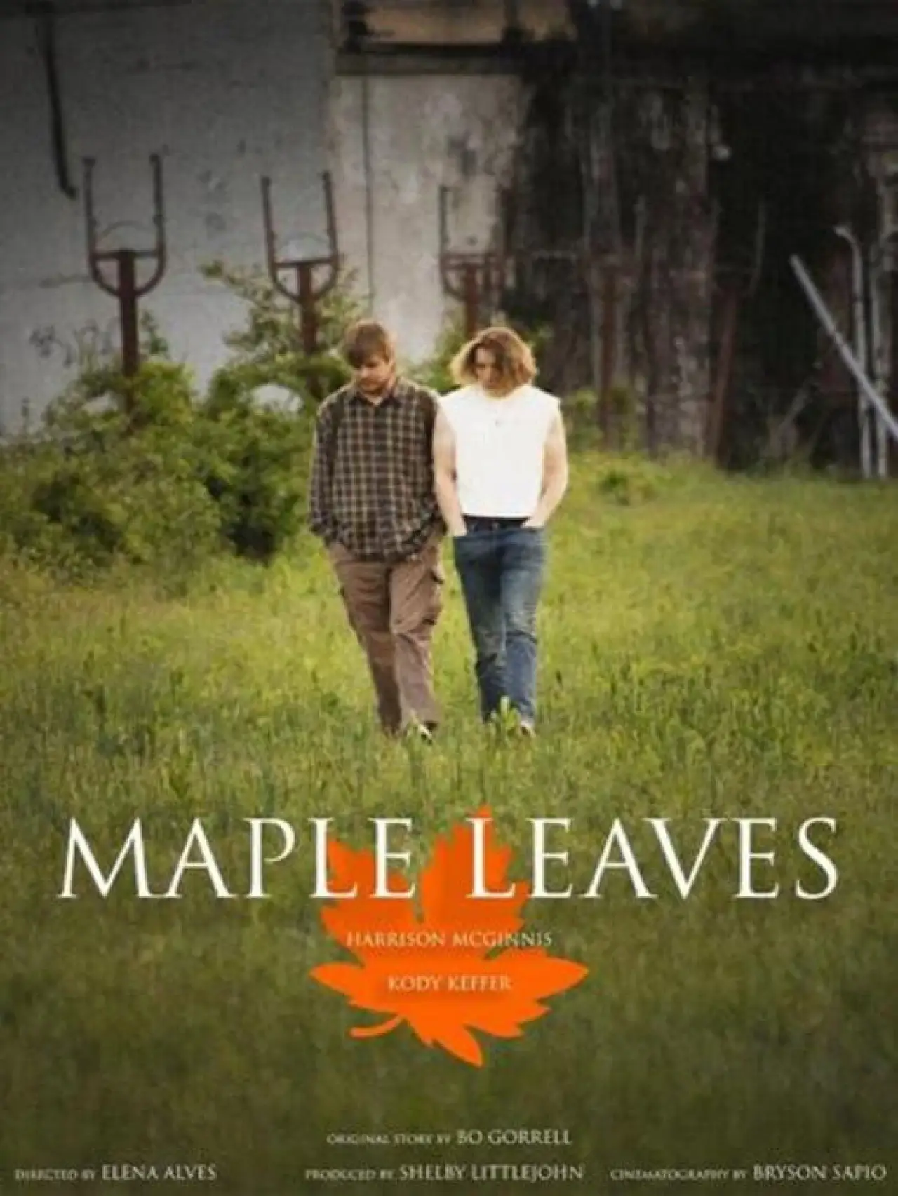 Plakat filmowy "Maple Leaves"