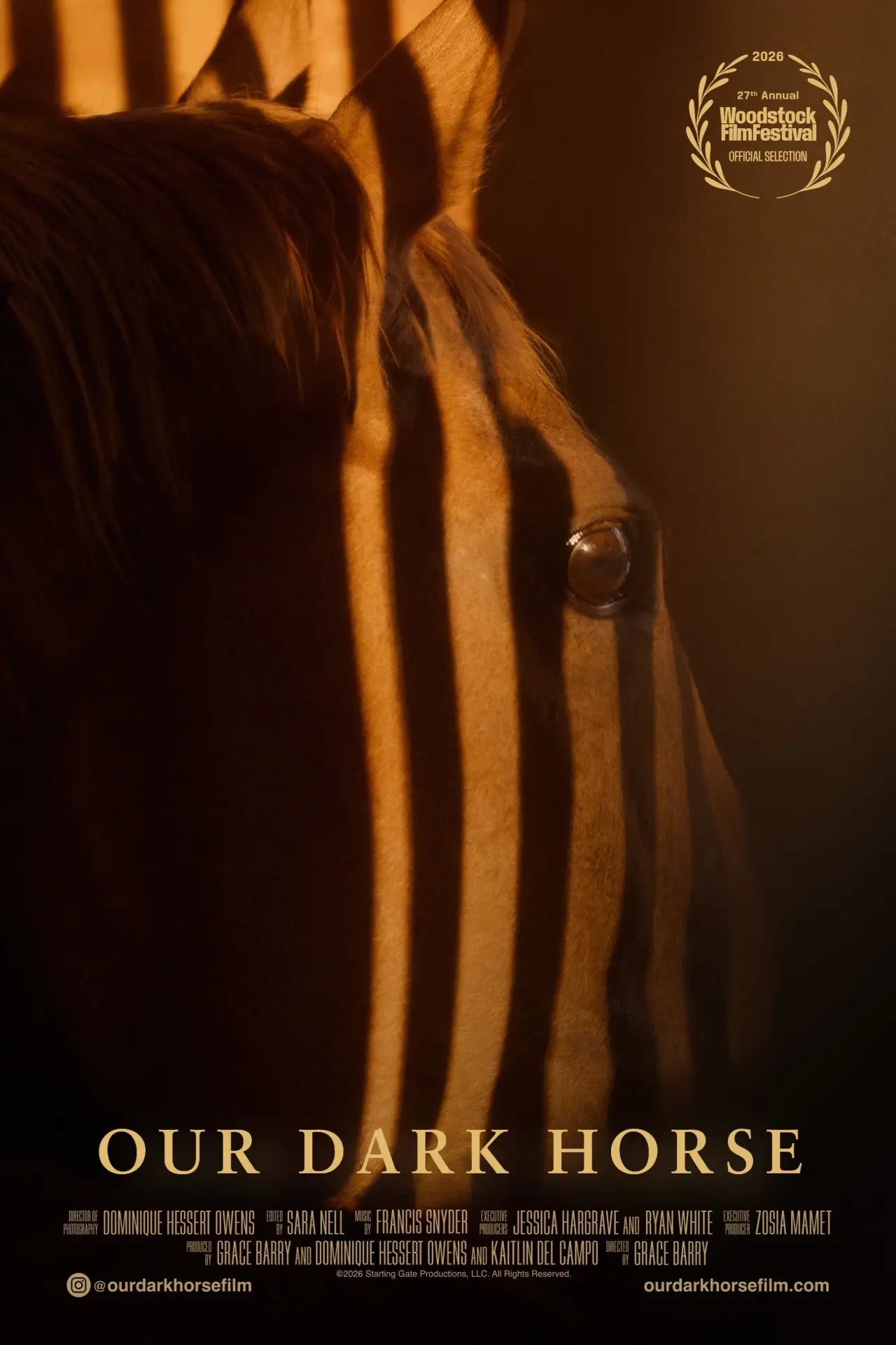 Plakat filmowy "Our Dark Horse"