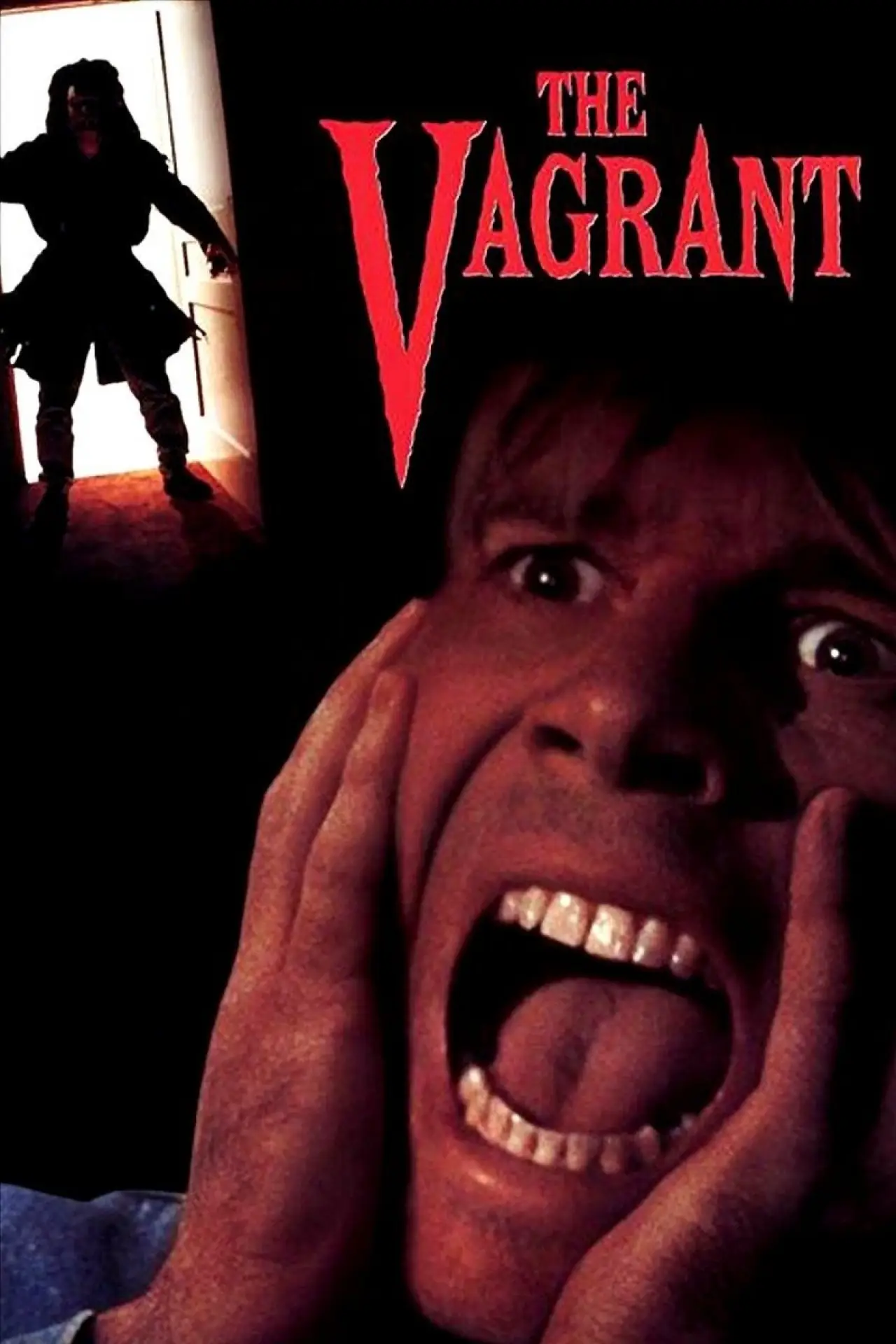 Plakat filmowy "Włóczęga"