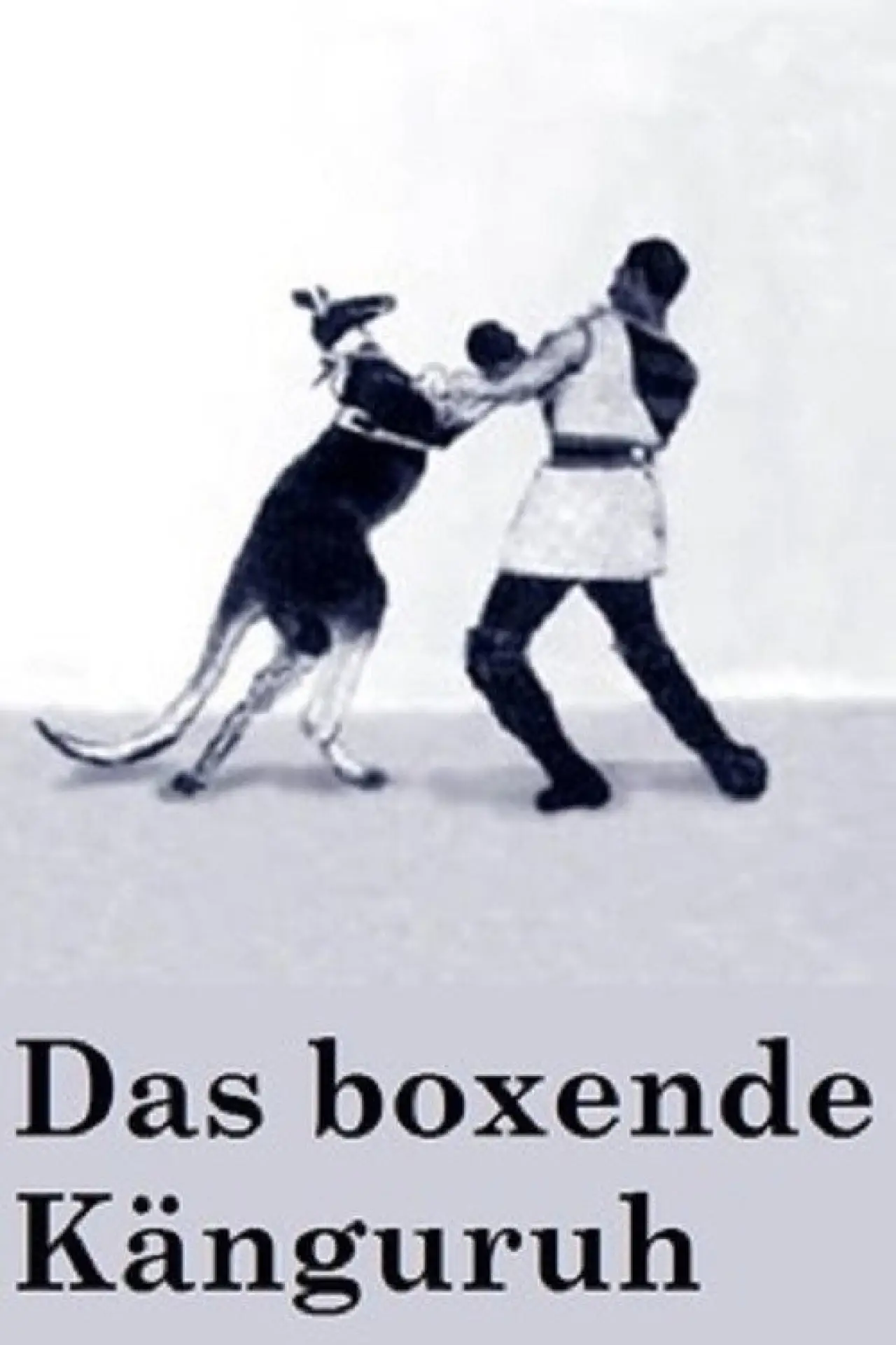 Plakat filmowy "Das boxende Känguruh"