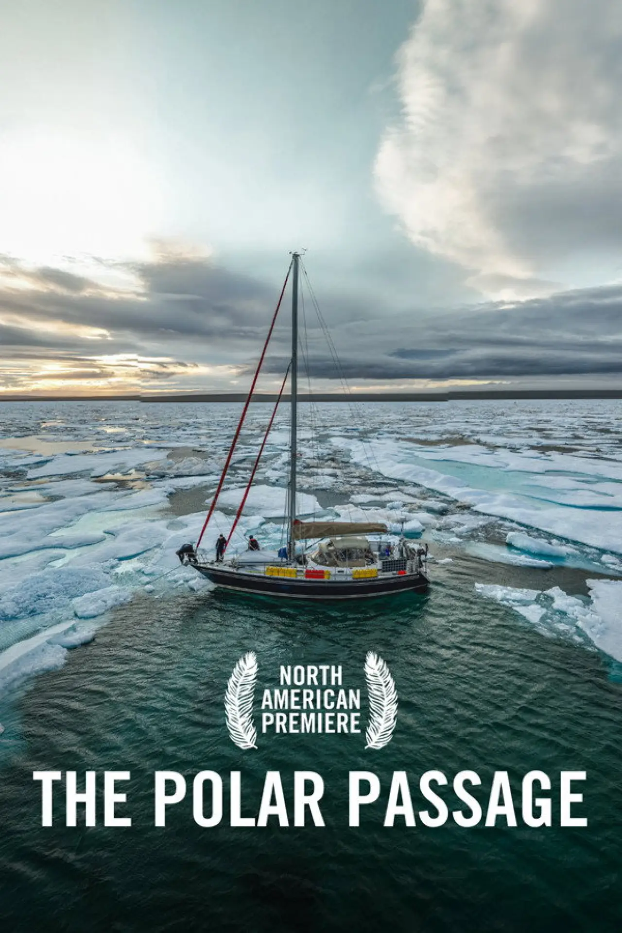 Plakat filmowy "The Polar Passage"