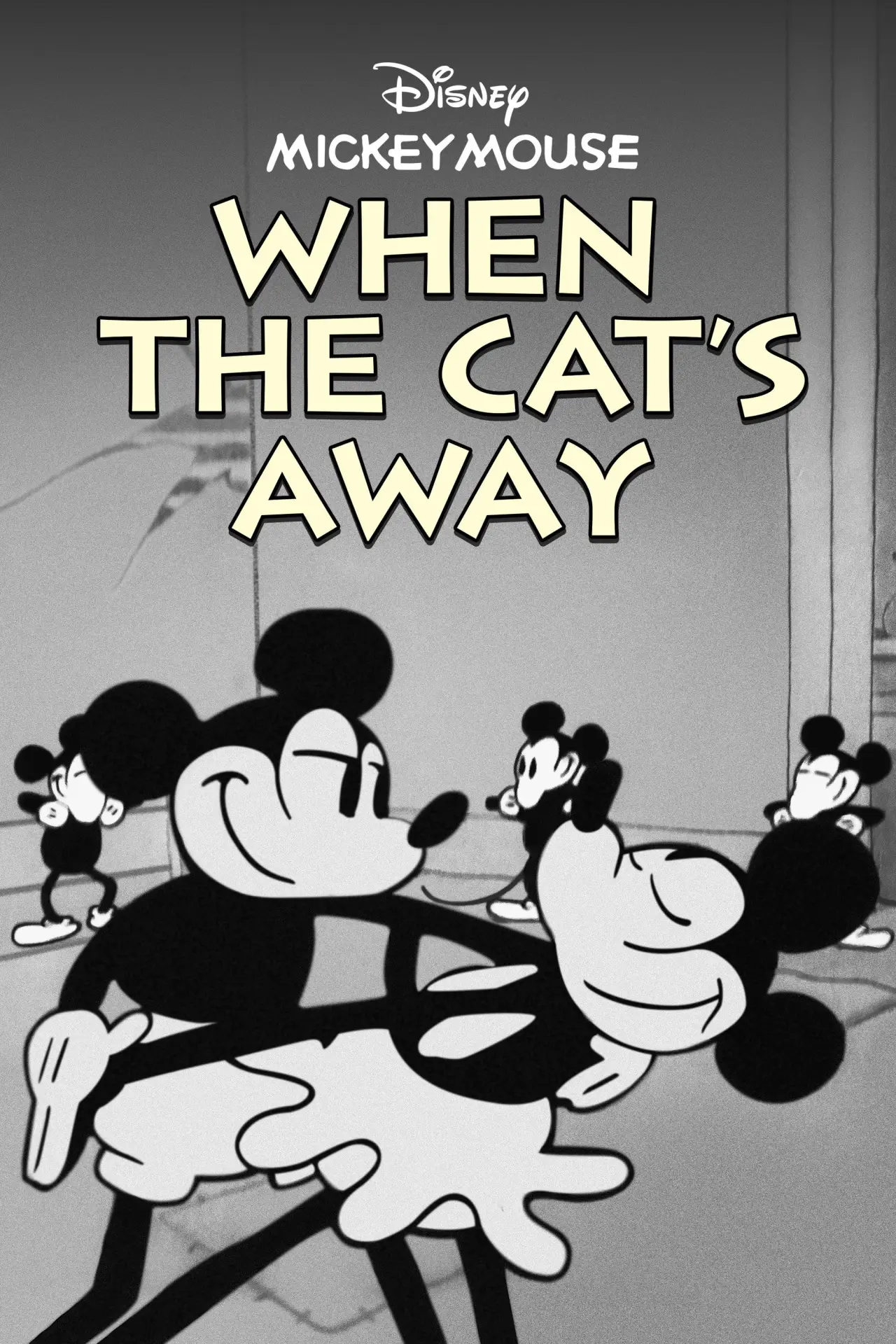 Plakat filmowy "When the Cat