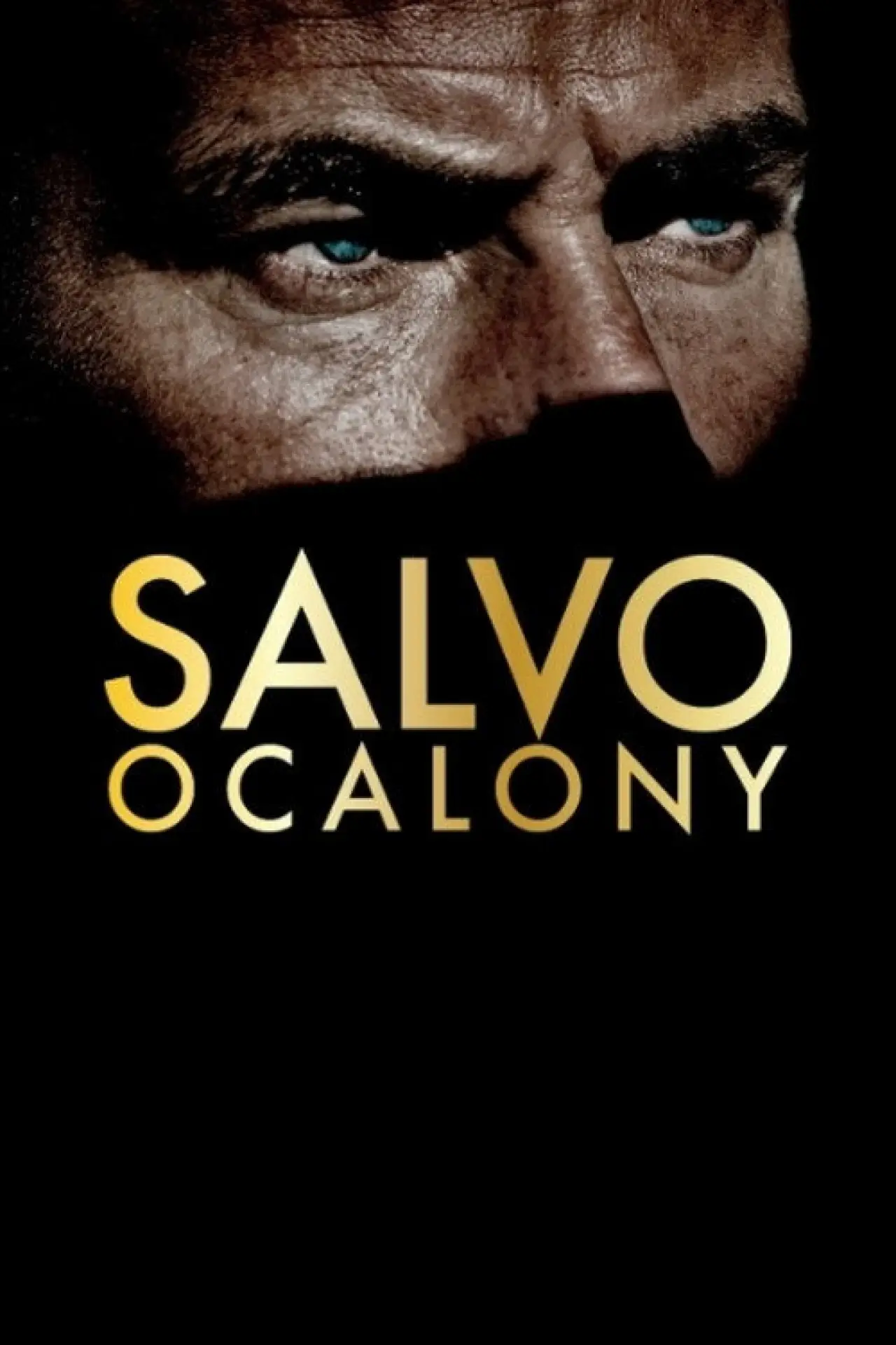 Plakat filmowy "Salvo"