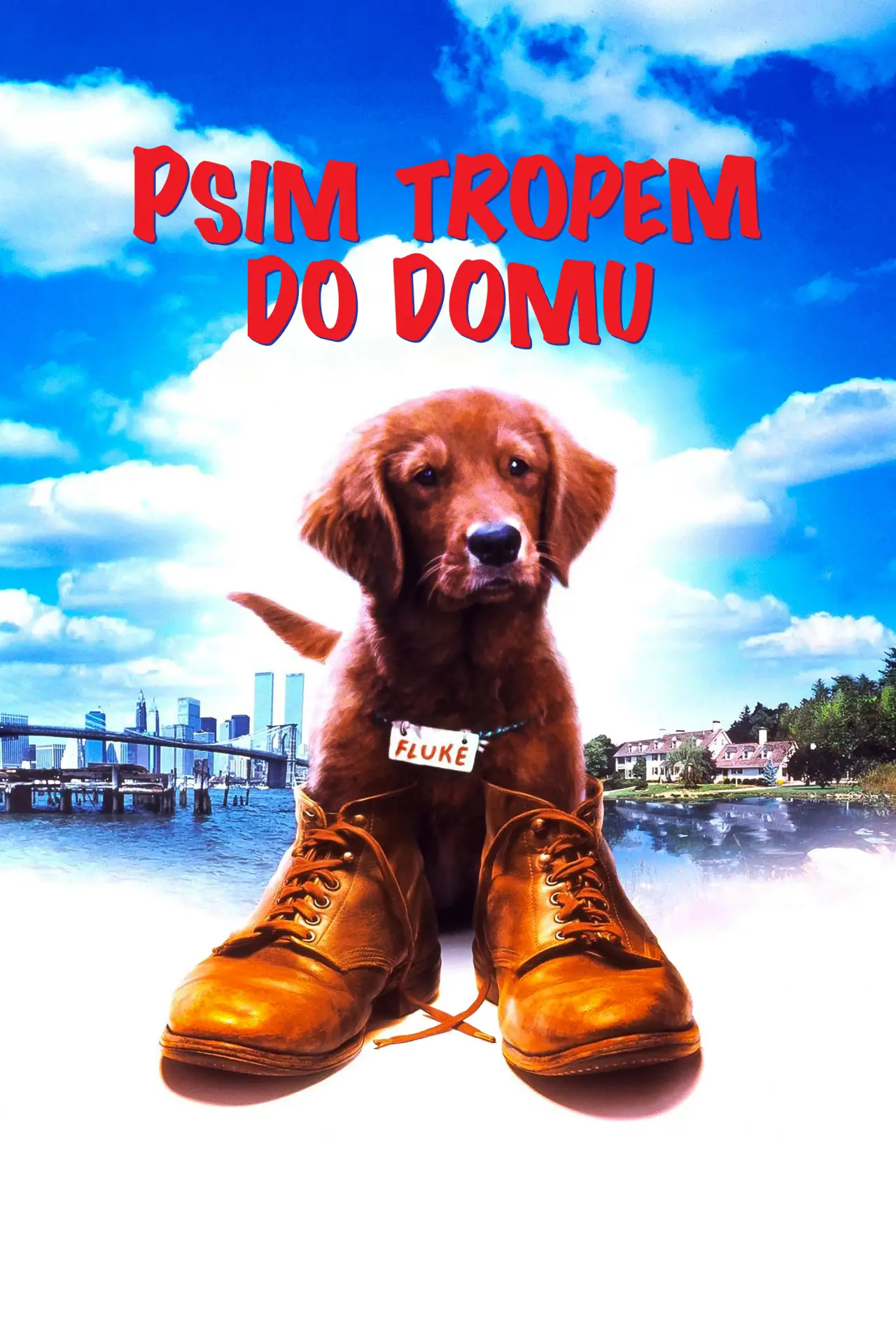 Plakat filmowy "Psim tropem do domu"