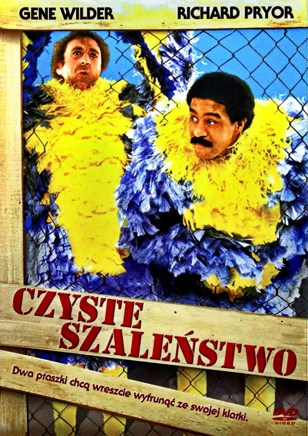 Plakat filmowy "Czyste szaleństwo"