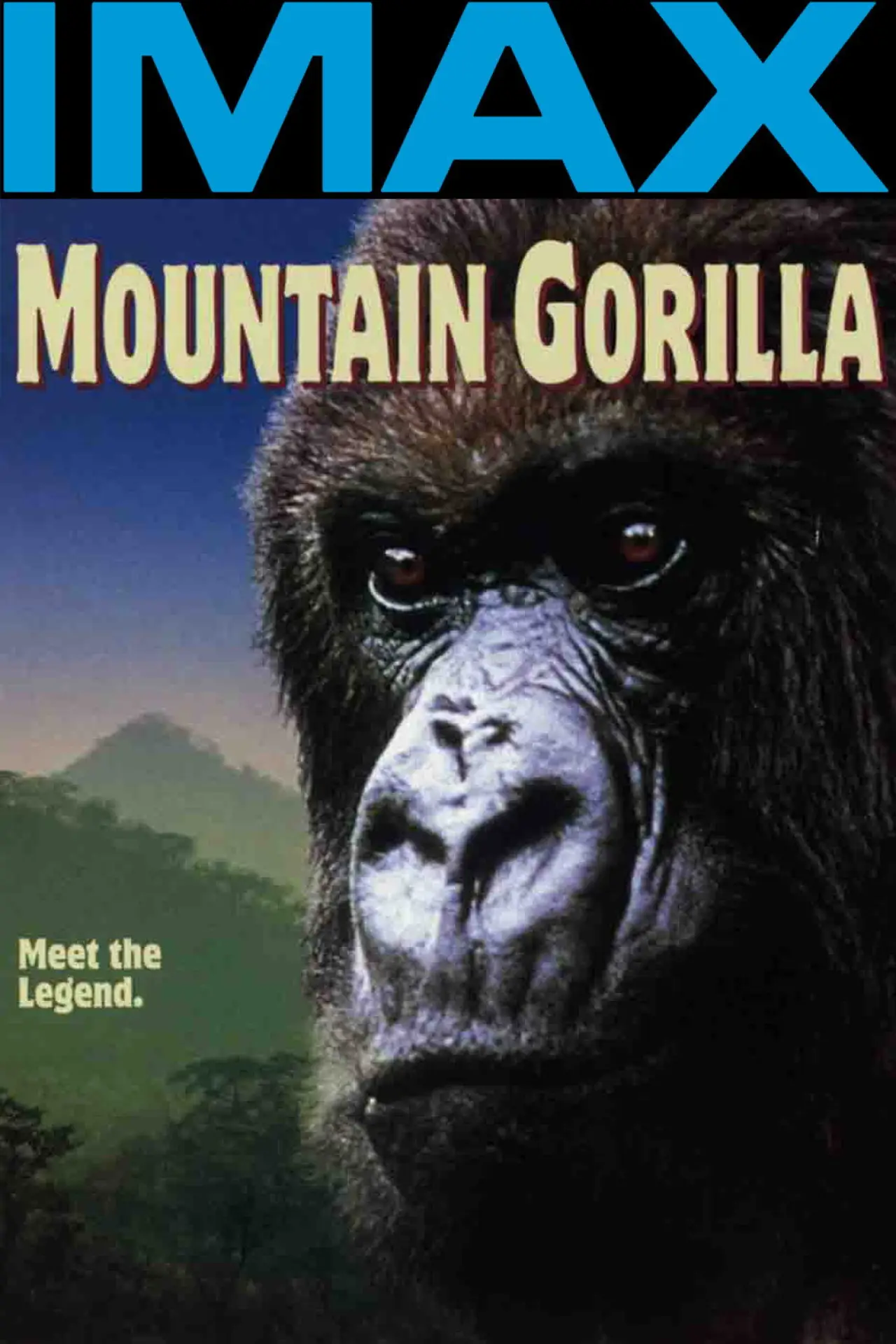 Plakat filmowy "Mountain Gorilla"