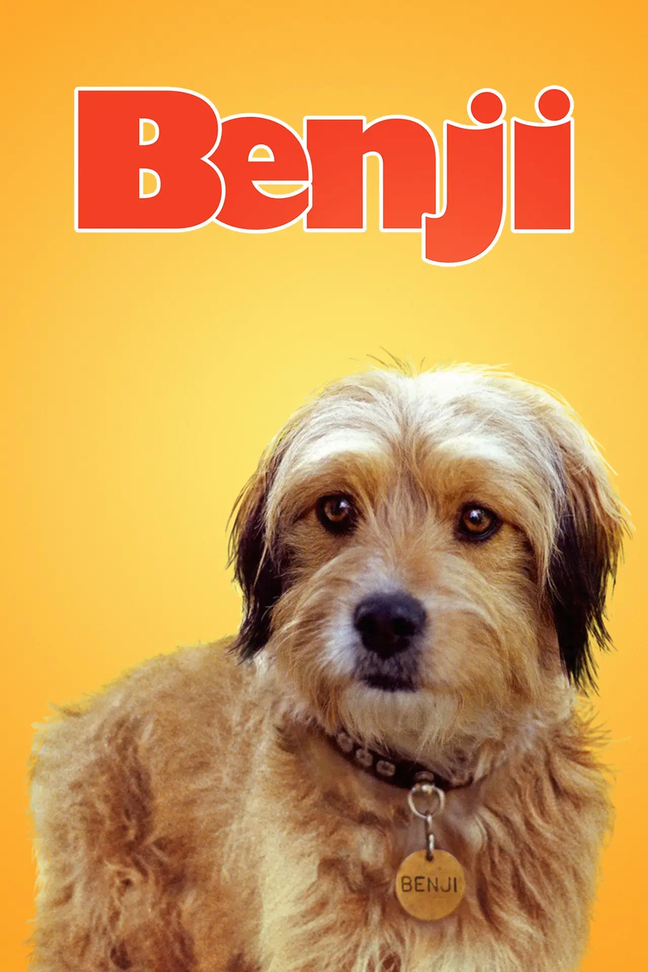Plakat filmowy "Benji"