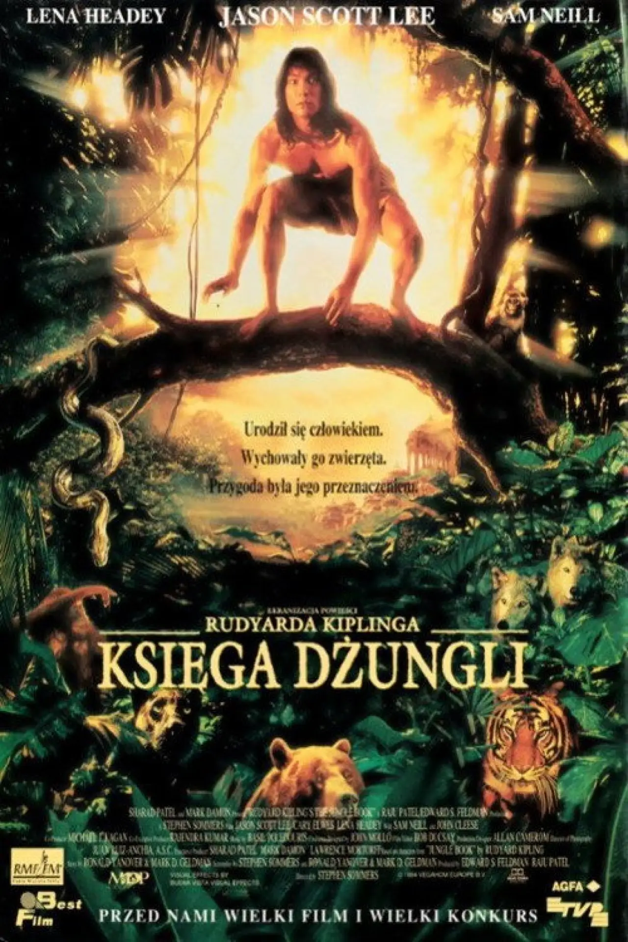 Plakat filmowy "Księga Dżungli"