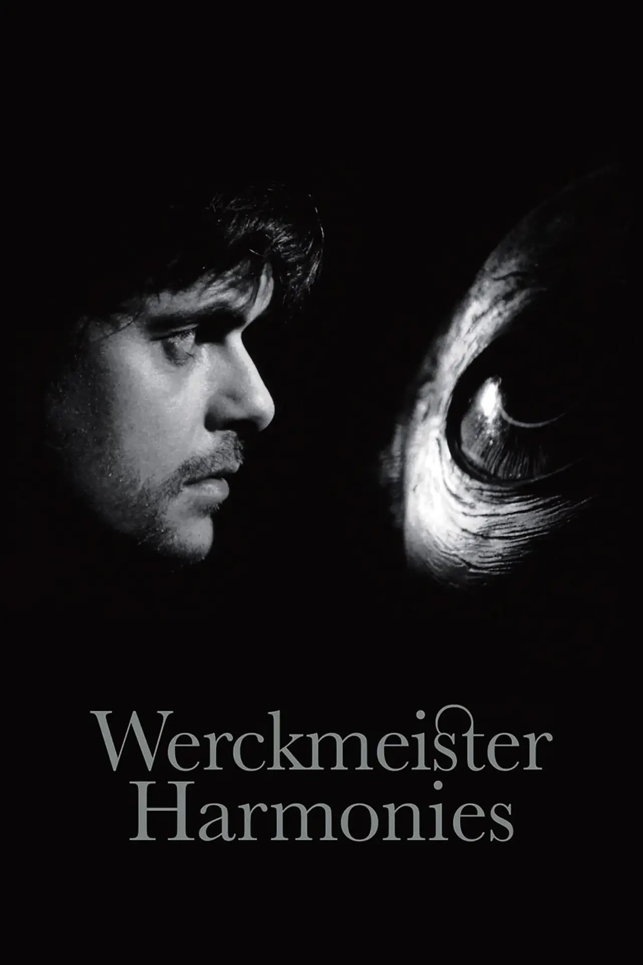 Plakat filmowy "Harmonie Werckmeistera"