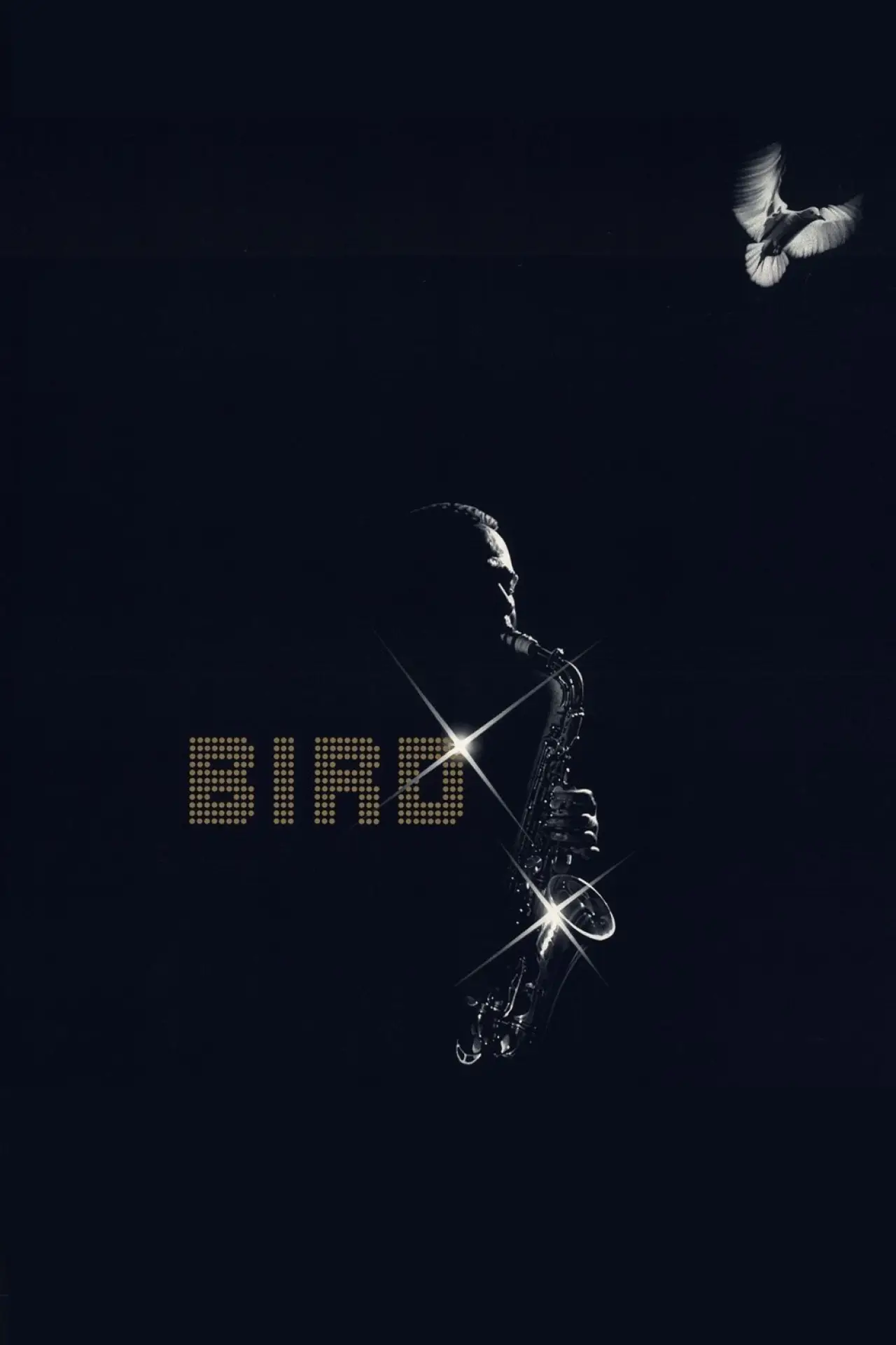 Plakat filmowy "Bird"