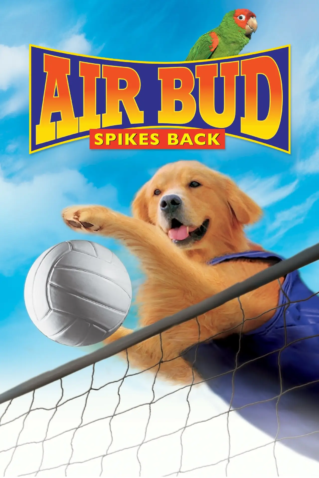 Plakat filmowy "Siatkarz Buddy"