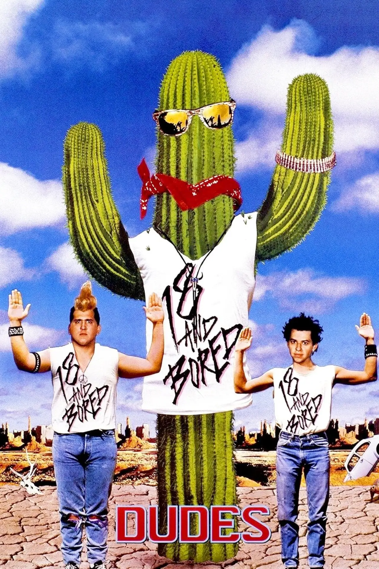Plakat filmowy "Dudes"