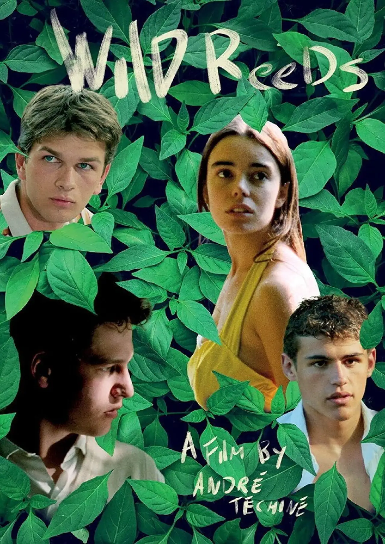 Plakat filmowy "Les Roseaux sauvages"