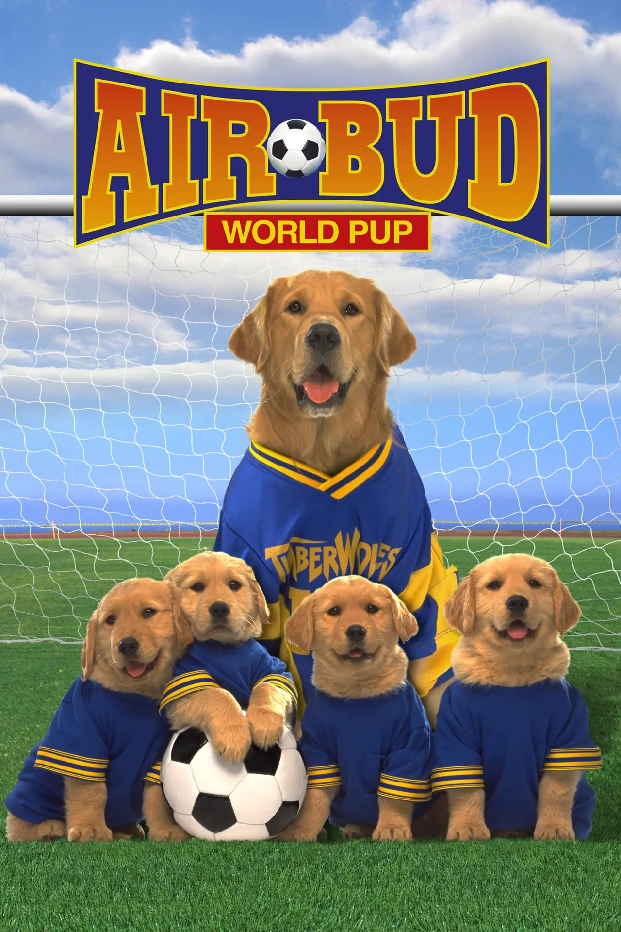 Plakat filmowy "Buddy - pies na gole"