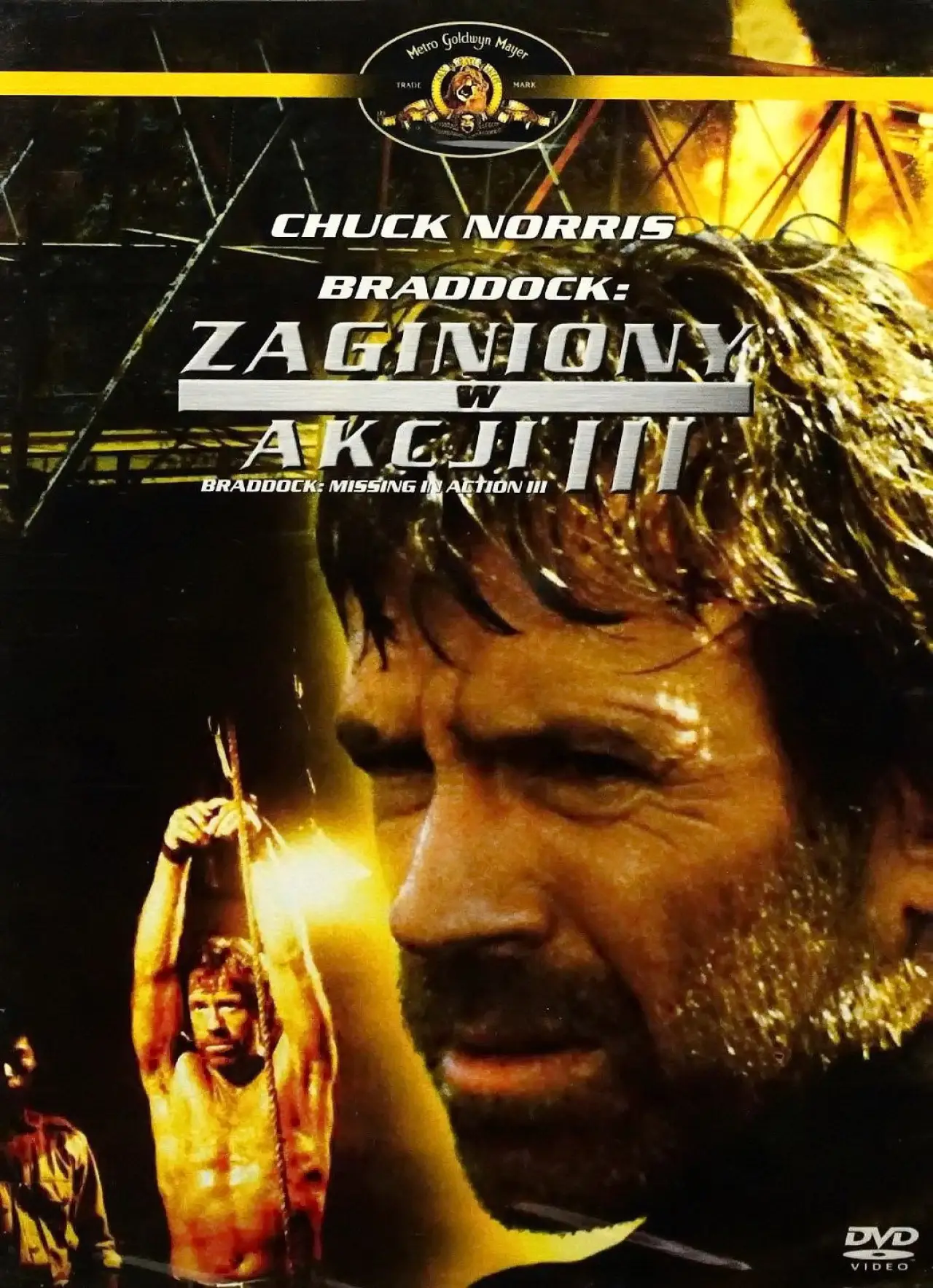 Plakat filmowy "Zaginiony w Akcji 3"