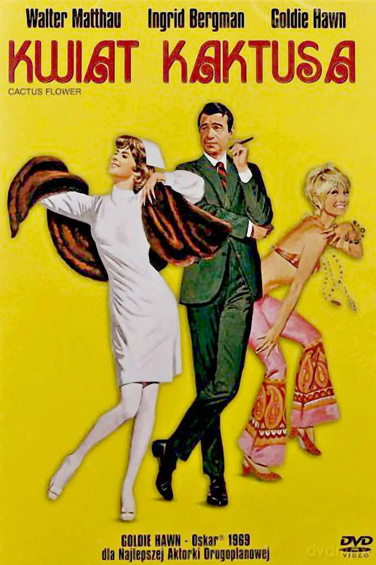 Plakat filmowy "Kwiat kaktusa"