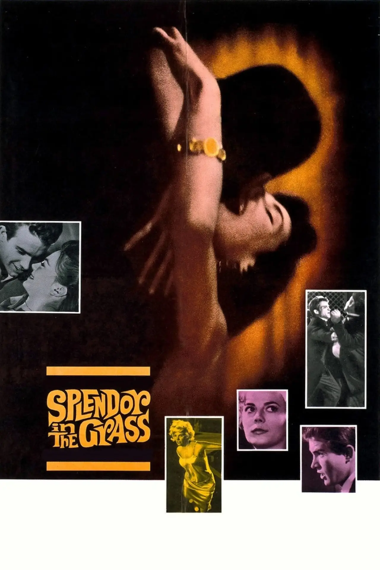 Plakat filmowy "Wiosenna bujność traw"