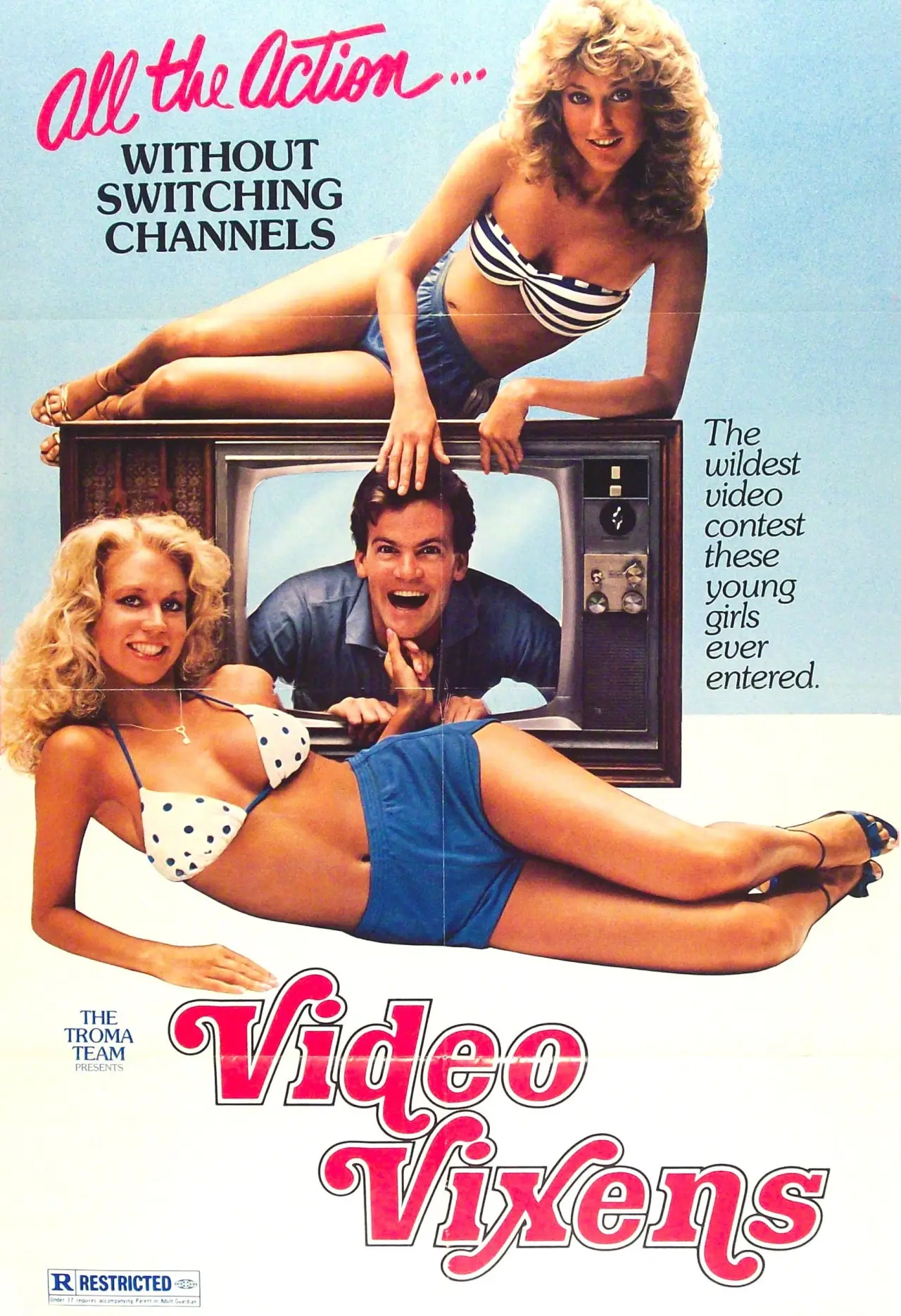 Plakat filmowy "Video Vixens!"