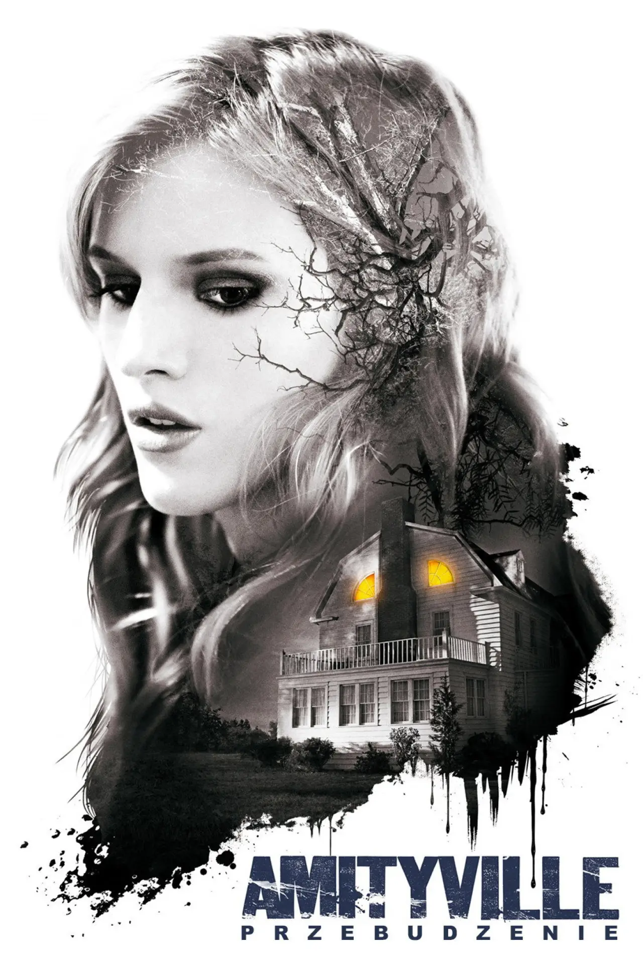 Plakat filmowy "Amityville: Przebudzenie"