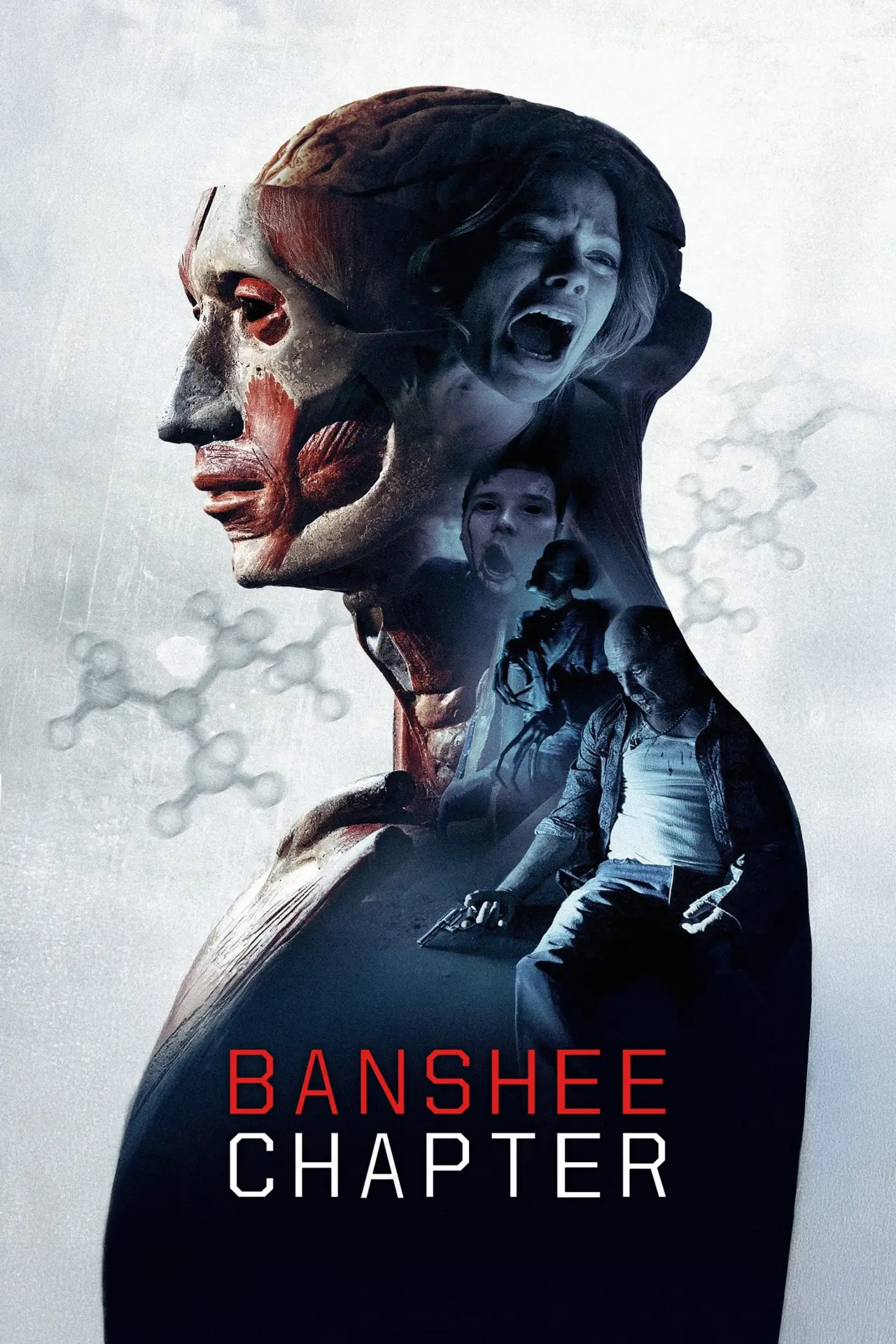 Plakat filmowy "Banshee Chapter"