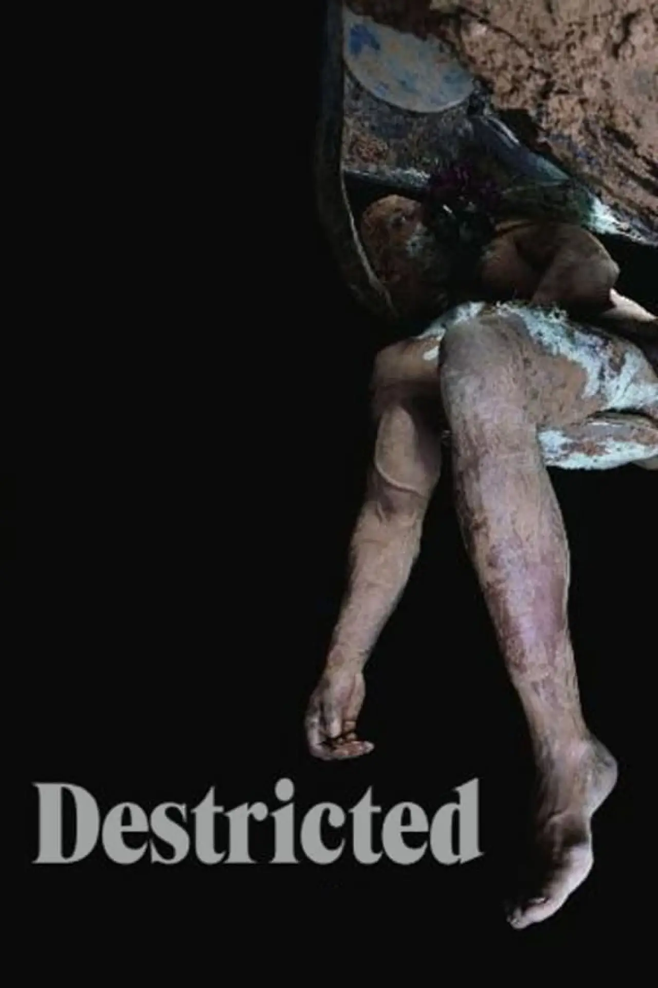Plakat filmowy "Destricted"