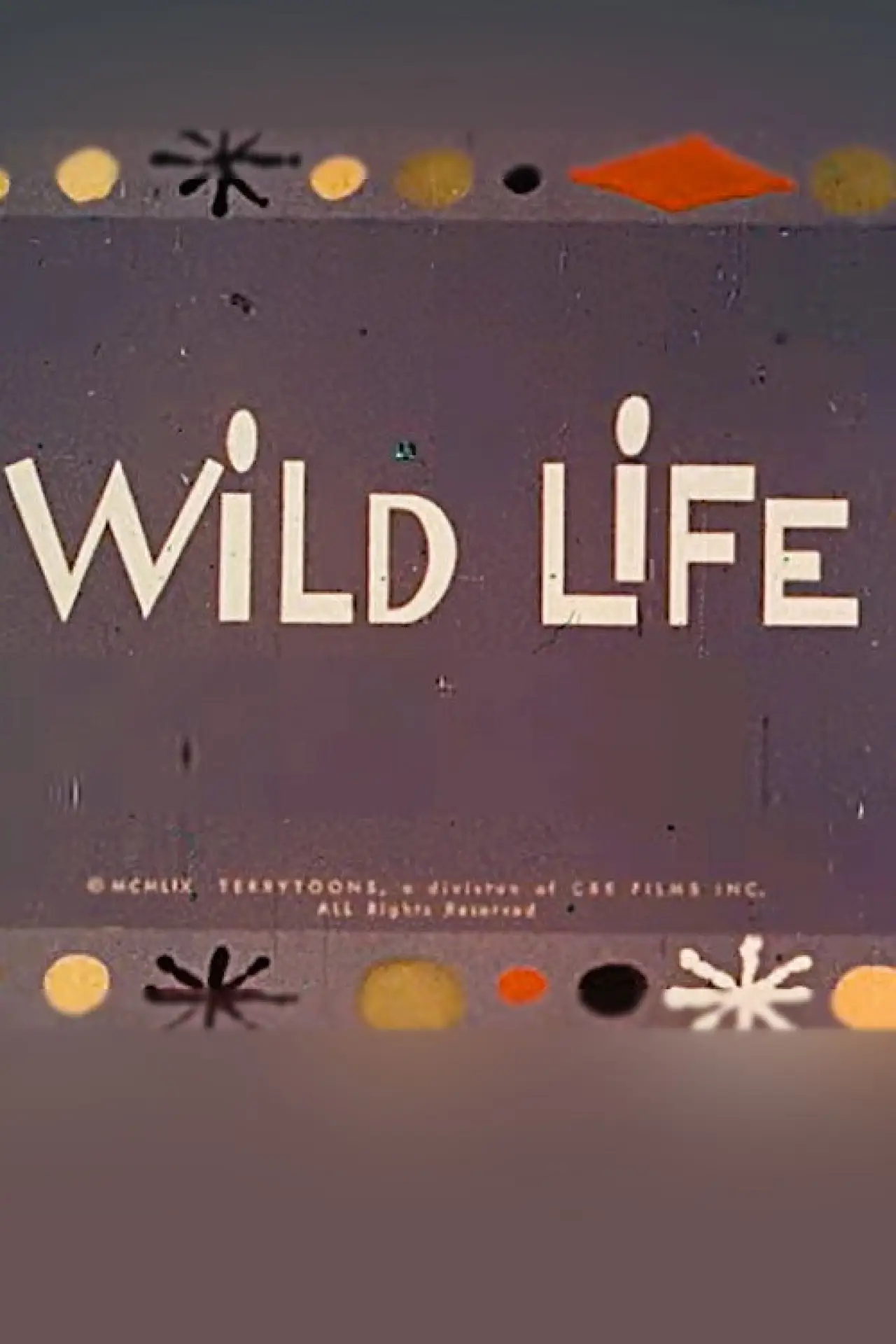 Plakat filmowy "Wild Life"