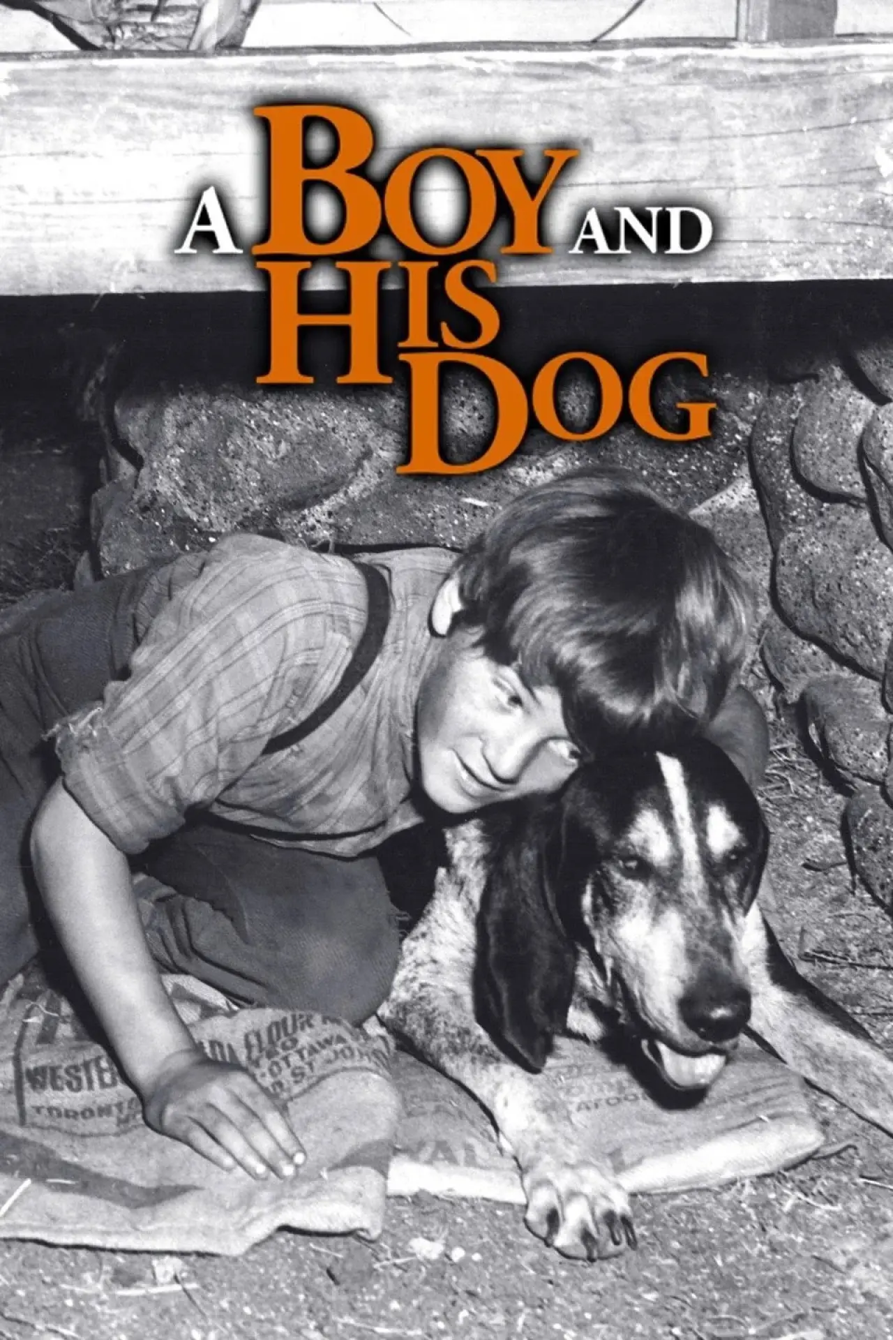 Plakat filmowy "A Boy and His Dog"