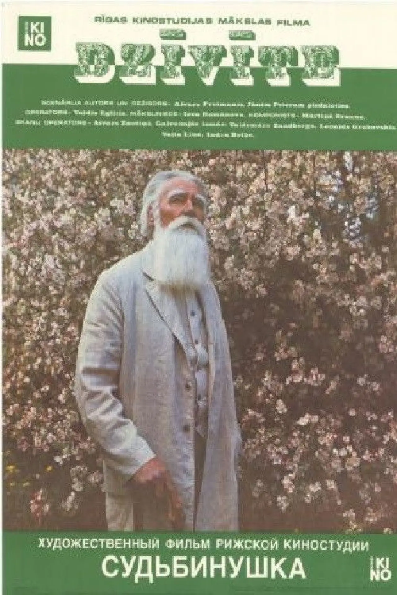 Plakat filmowy "Dzīvīte"
