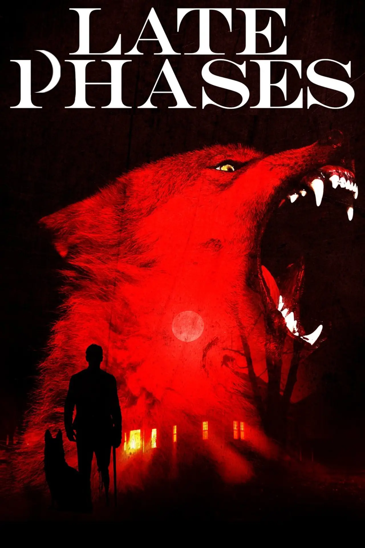 Plakat filmowy "Późne fazy człowieczeństwa"