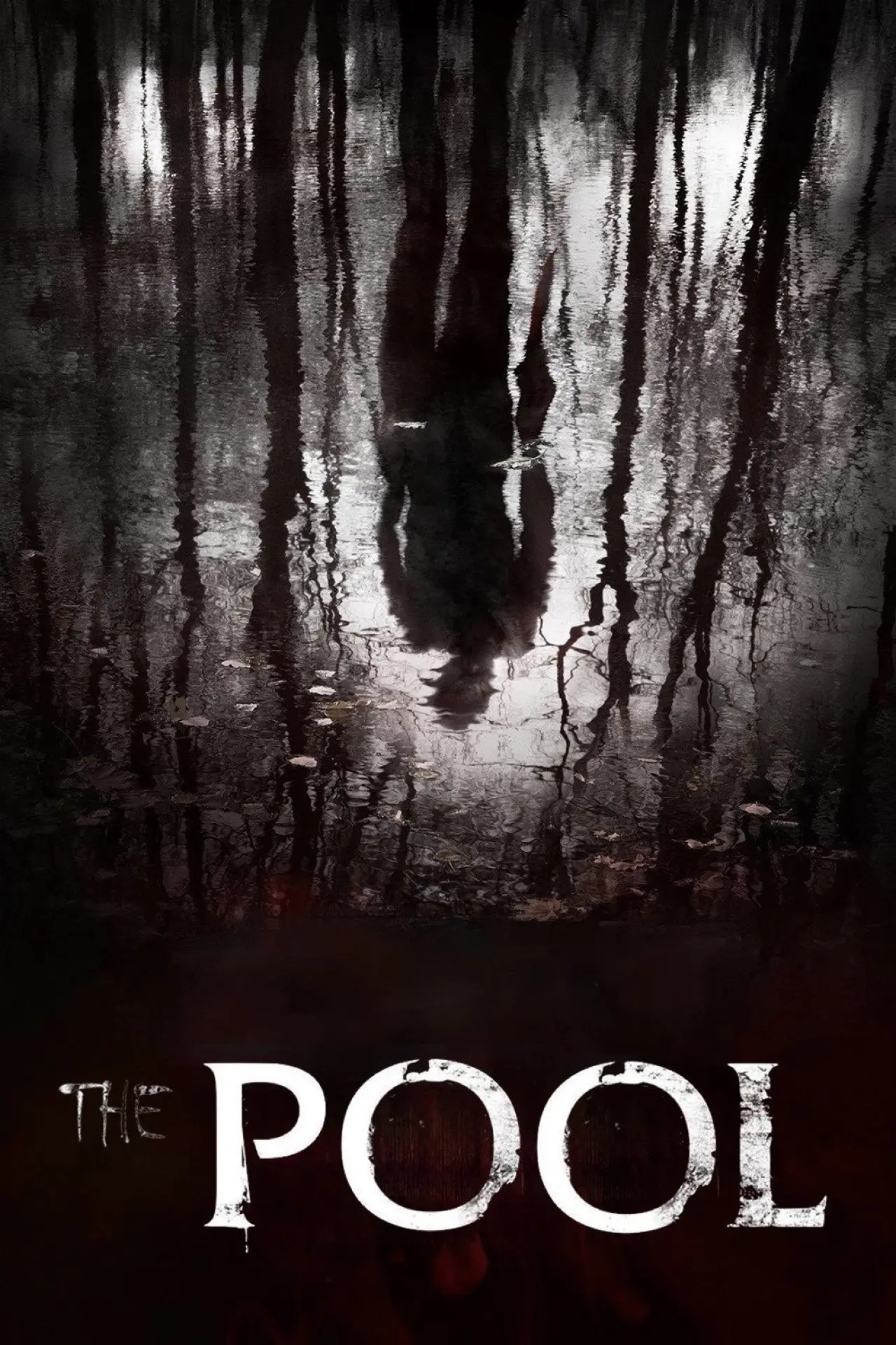 Plakat filmowy "De Poel"