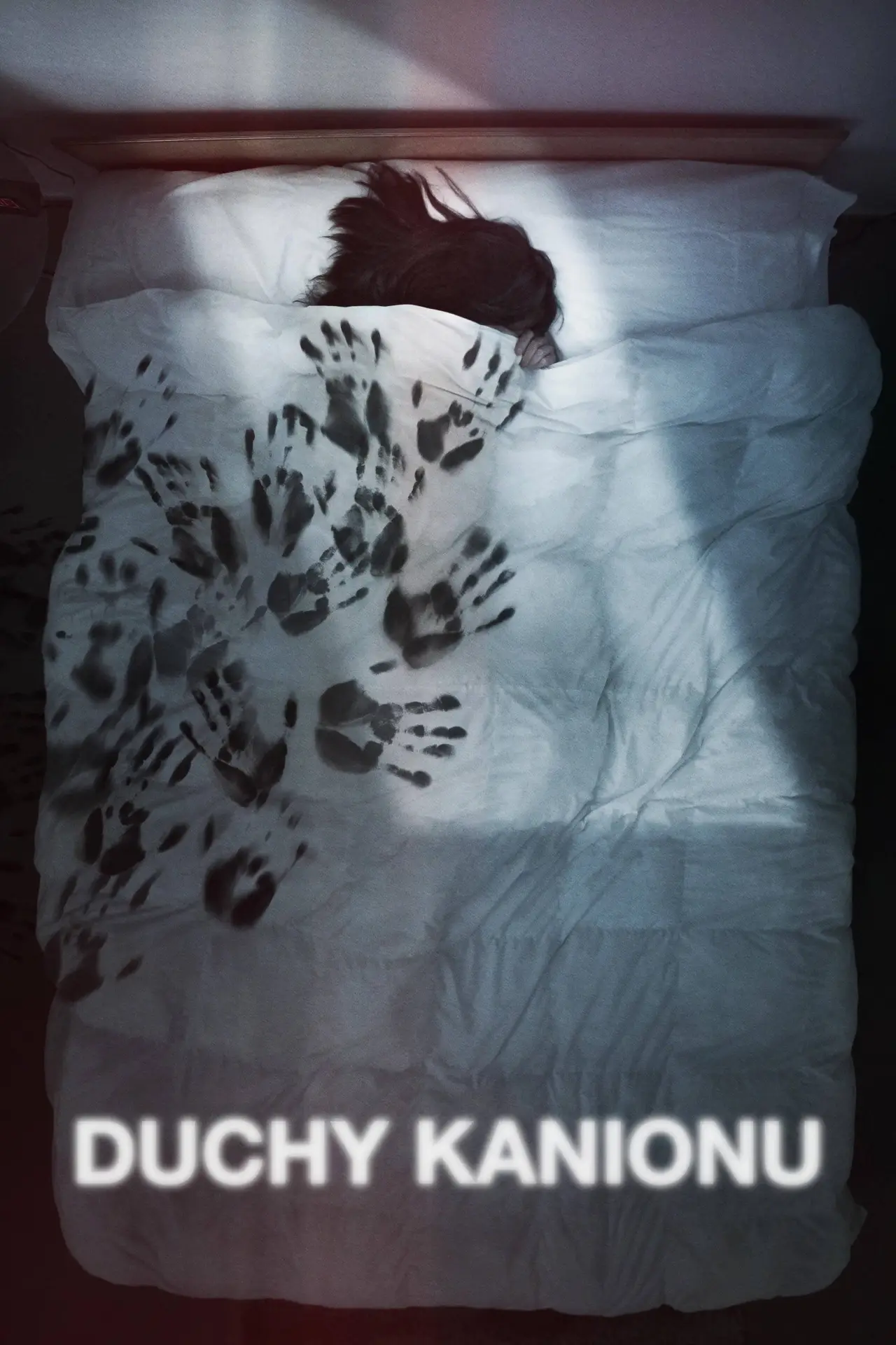 Plakat filmowy "Duchy kanionu"