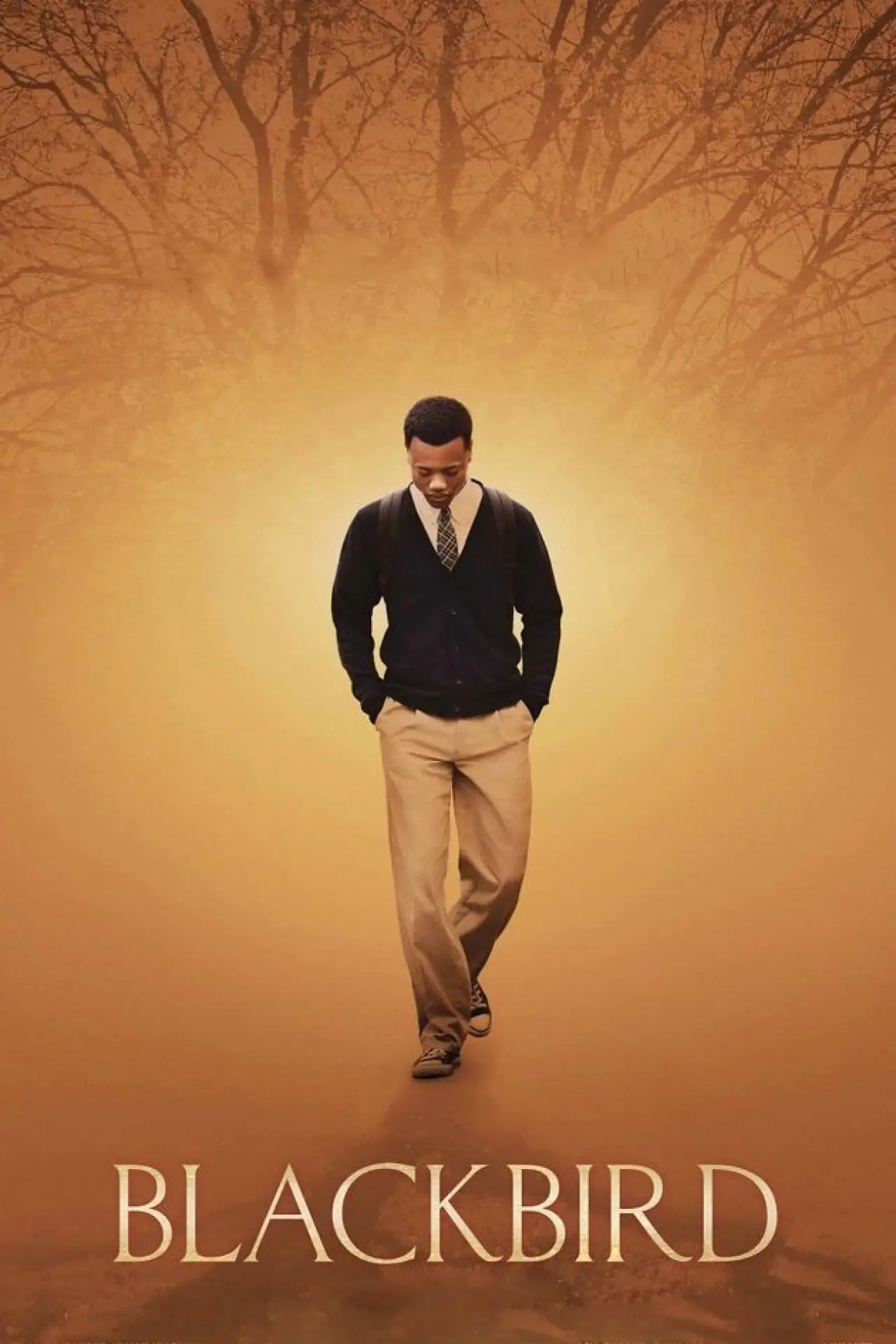 Plakat filmowy "Blackbird"