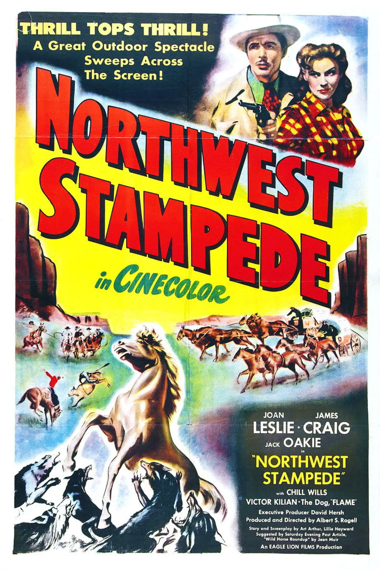 Plakat filmowy "Northwest Stampede"
