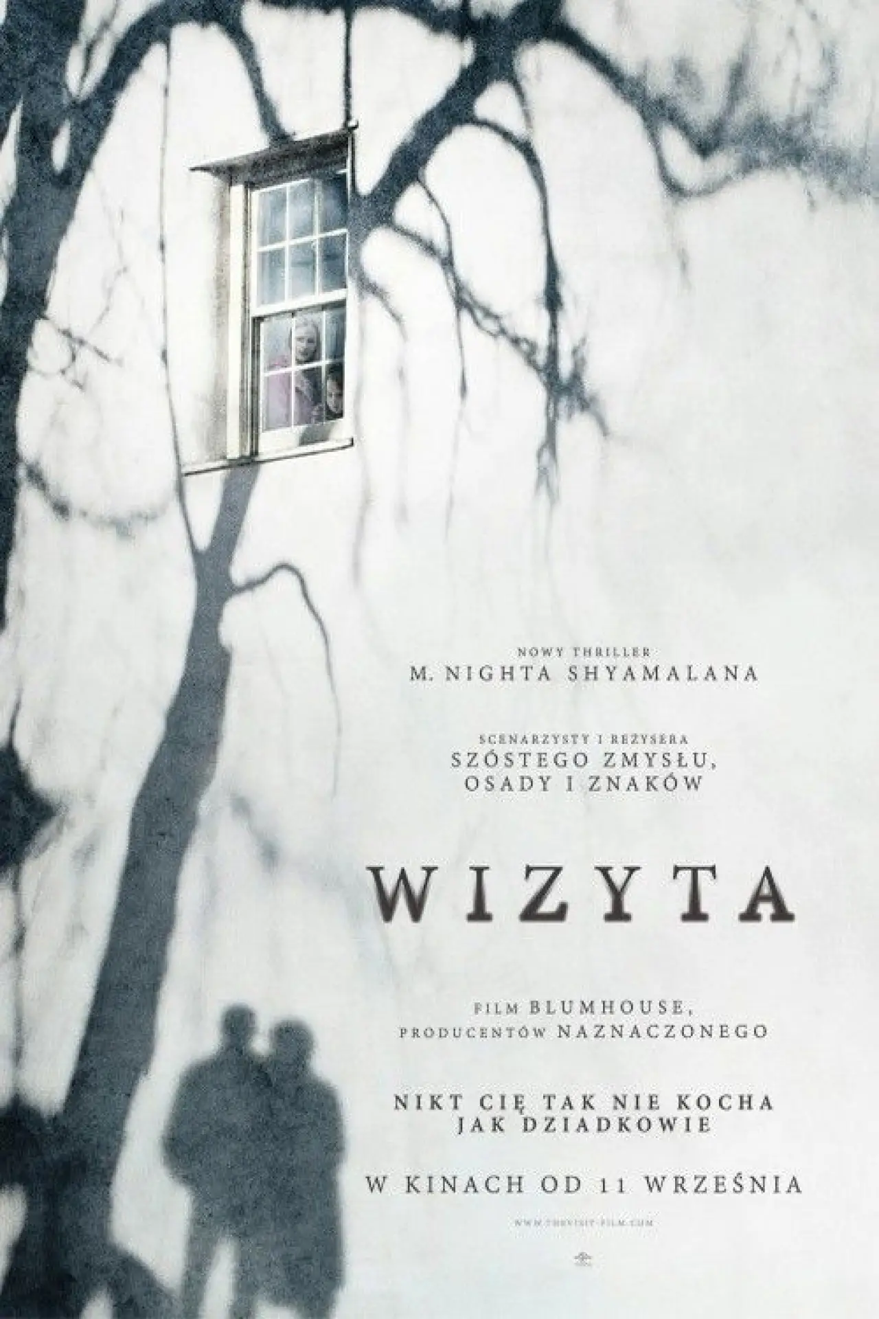 Plakat filmowy "Wizyta"