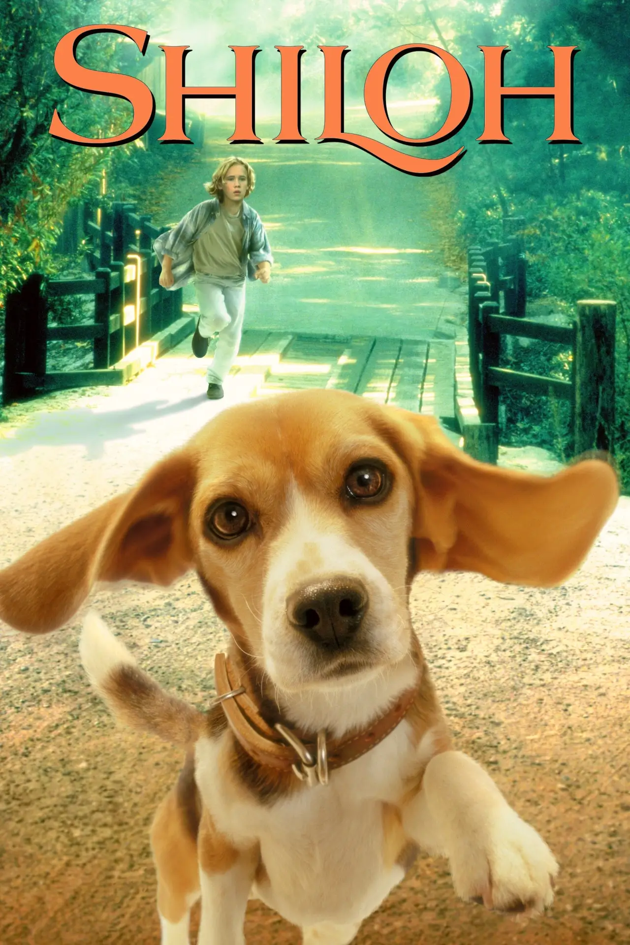 Plakat filmowy "Shiloh"