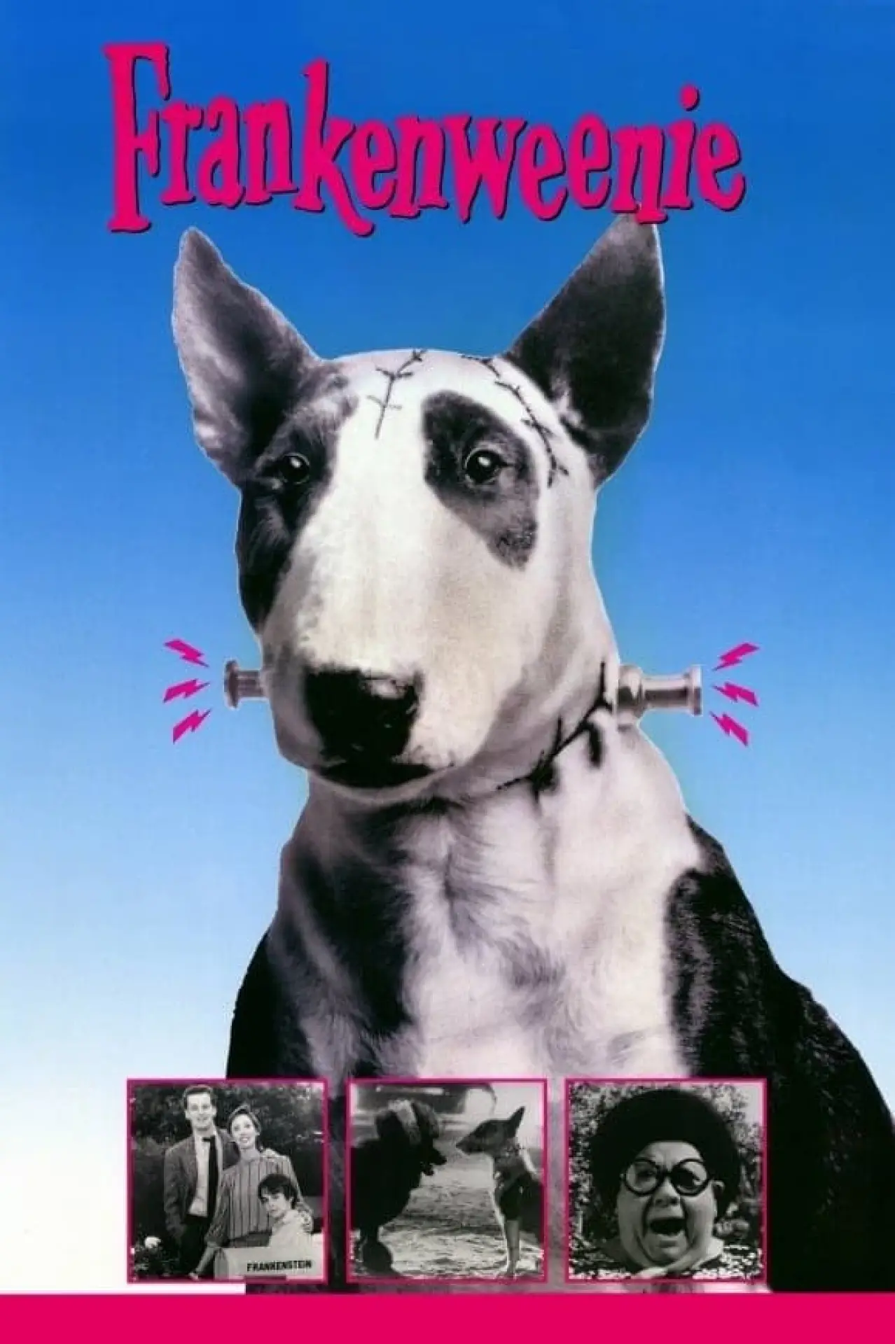 Plakat filmowy "Frankenweenie"