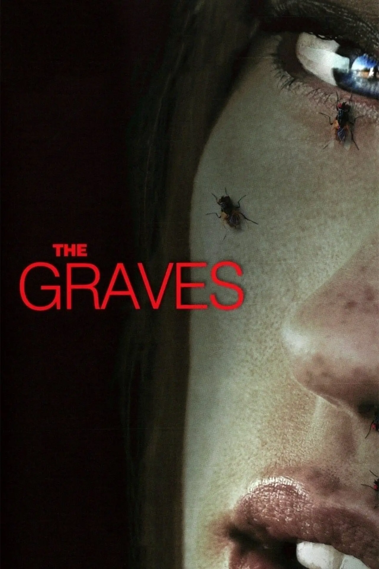 Plakat filmowy "The Graves"