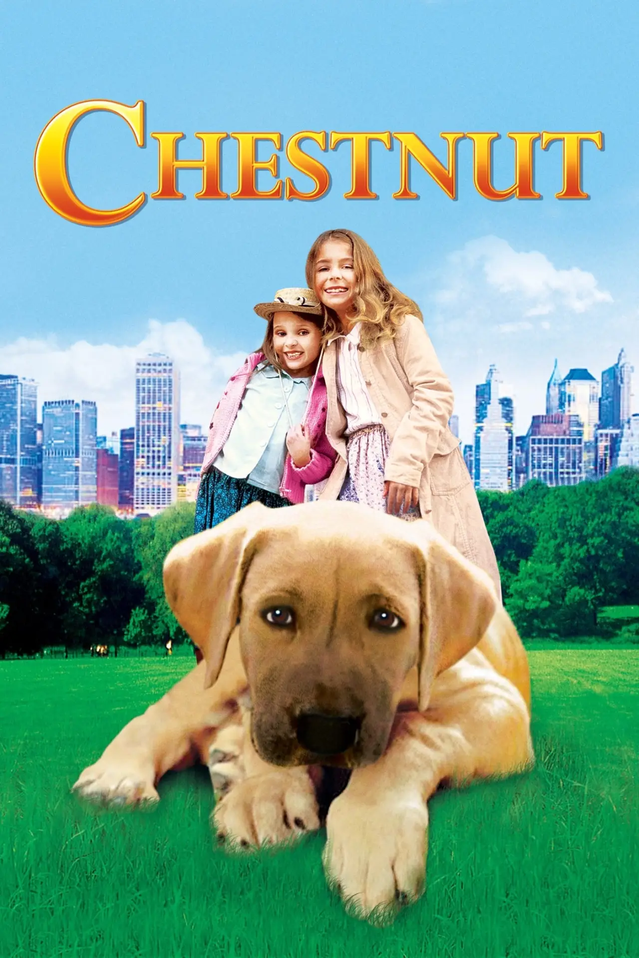 Plakat filmowy "Chestnut: Hero of Central Park"