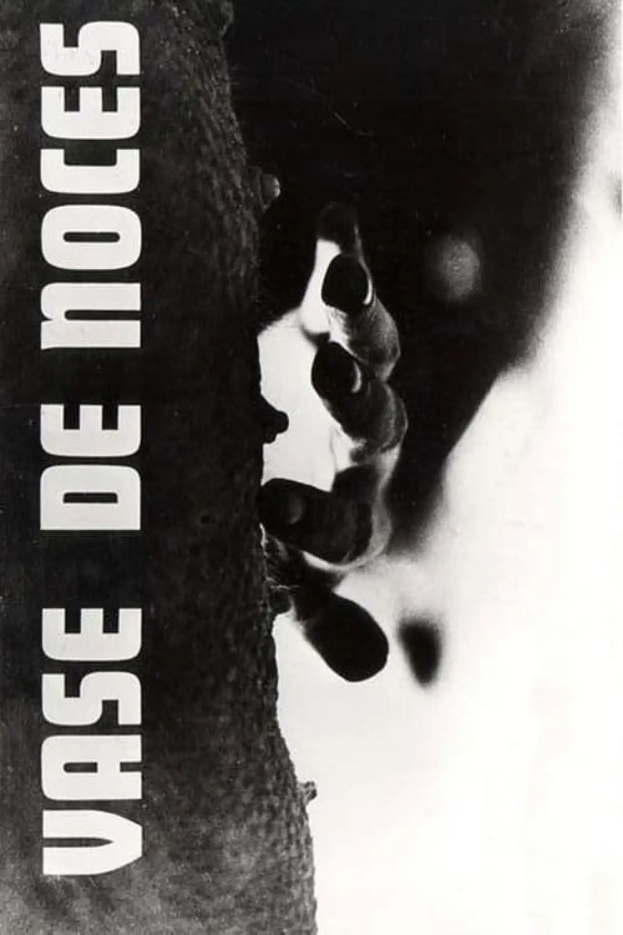 Plakat filmowy "Vase de Noces"