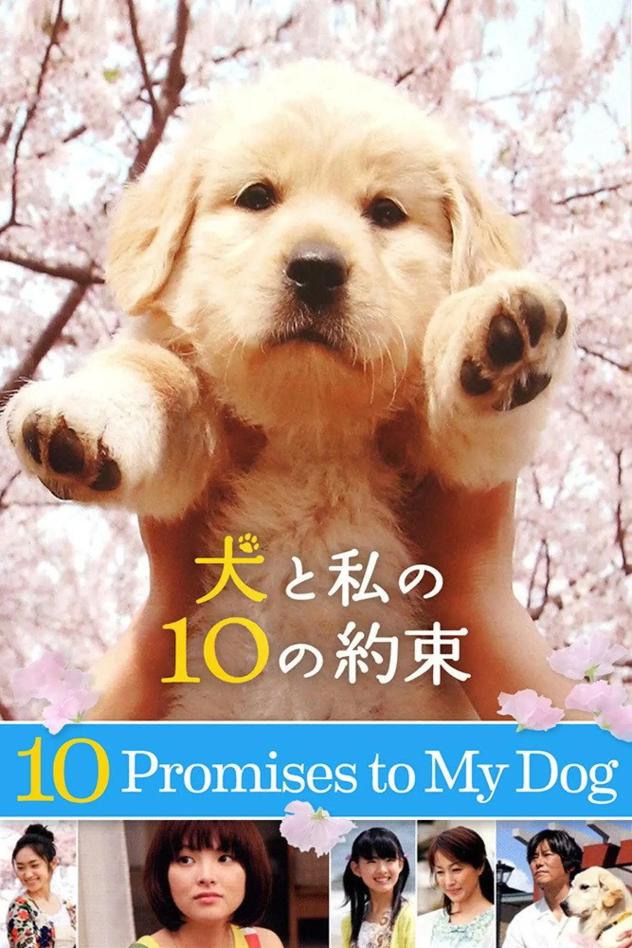 Plakat filmowy "犬と私の10の約束"
