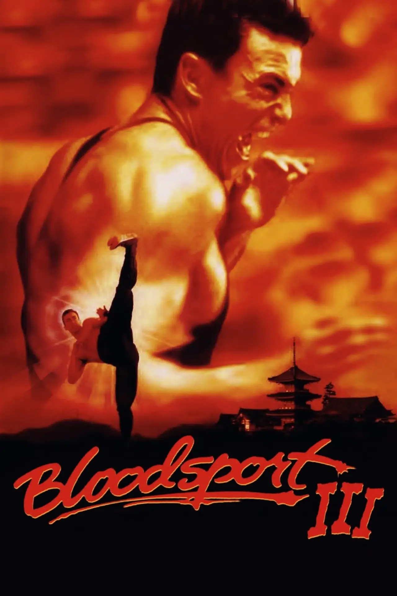 Plakat filmowy "Krwawy Sport 3"