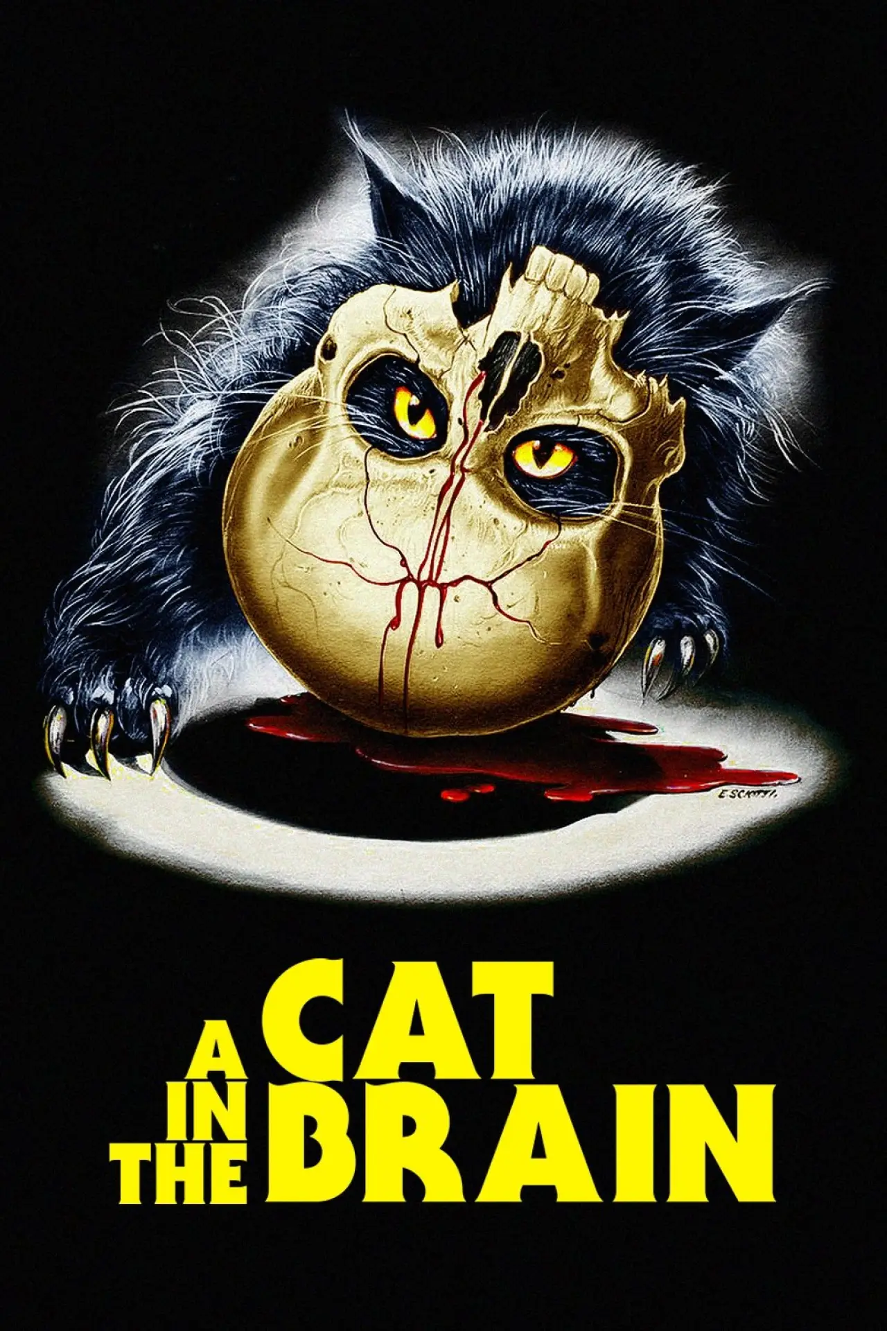 Plakat filmowy "Un gatto nel cervello"